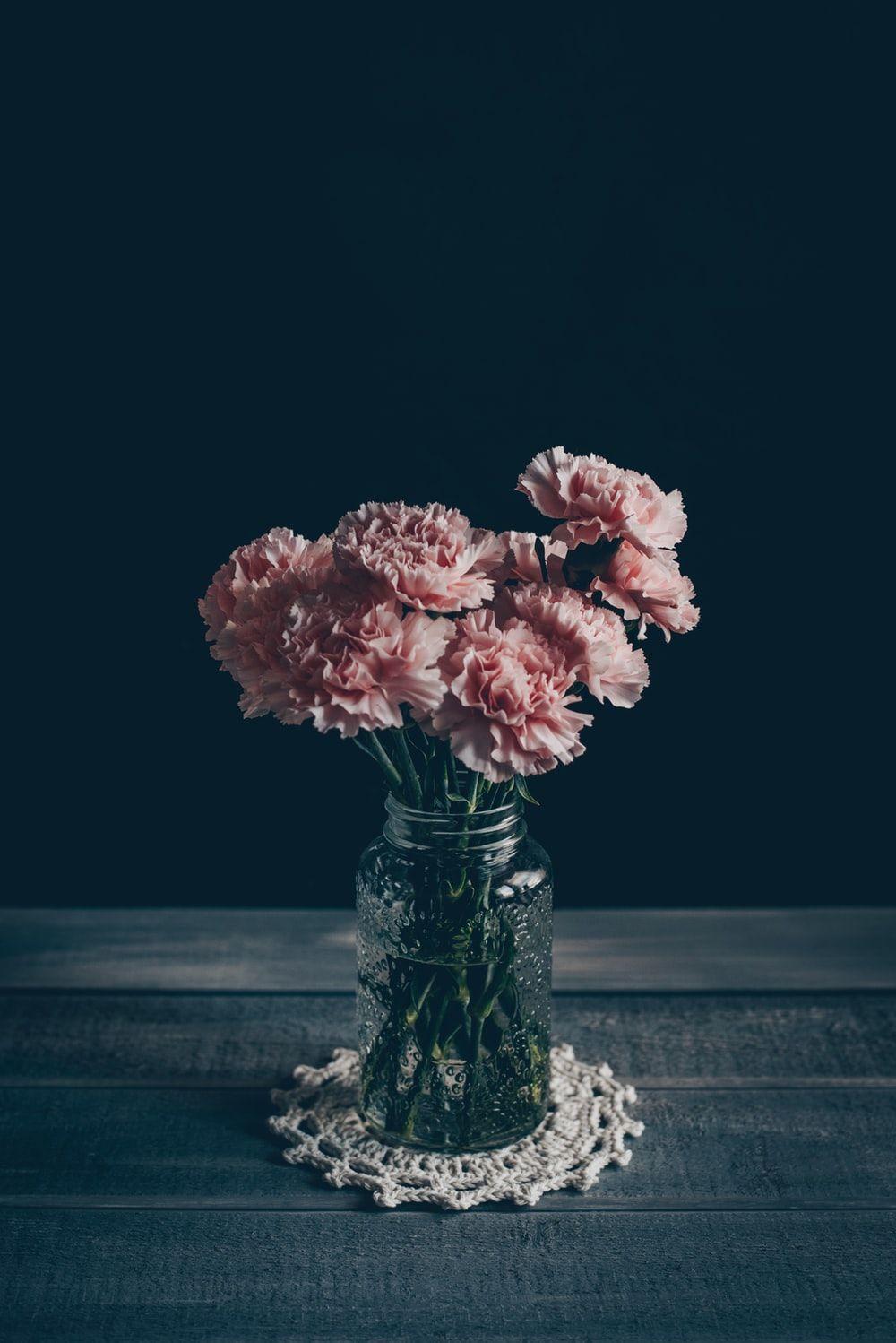 Carnation Wallpapers HD