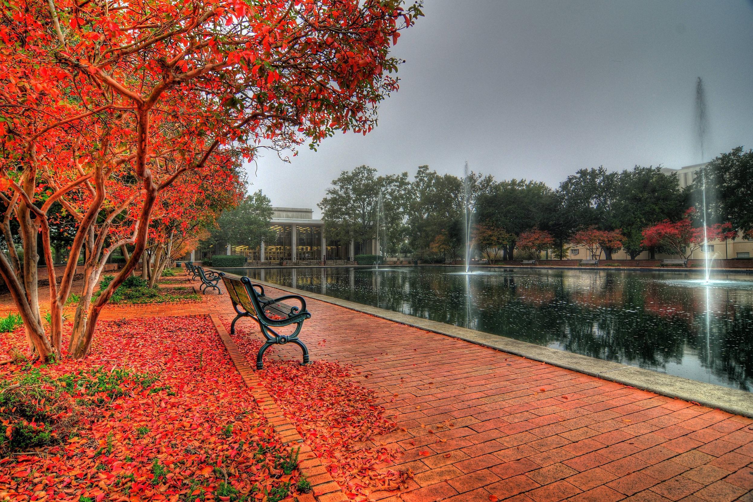 2492x1664 University Of South Carolina Wallpaper