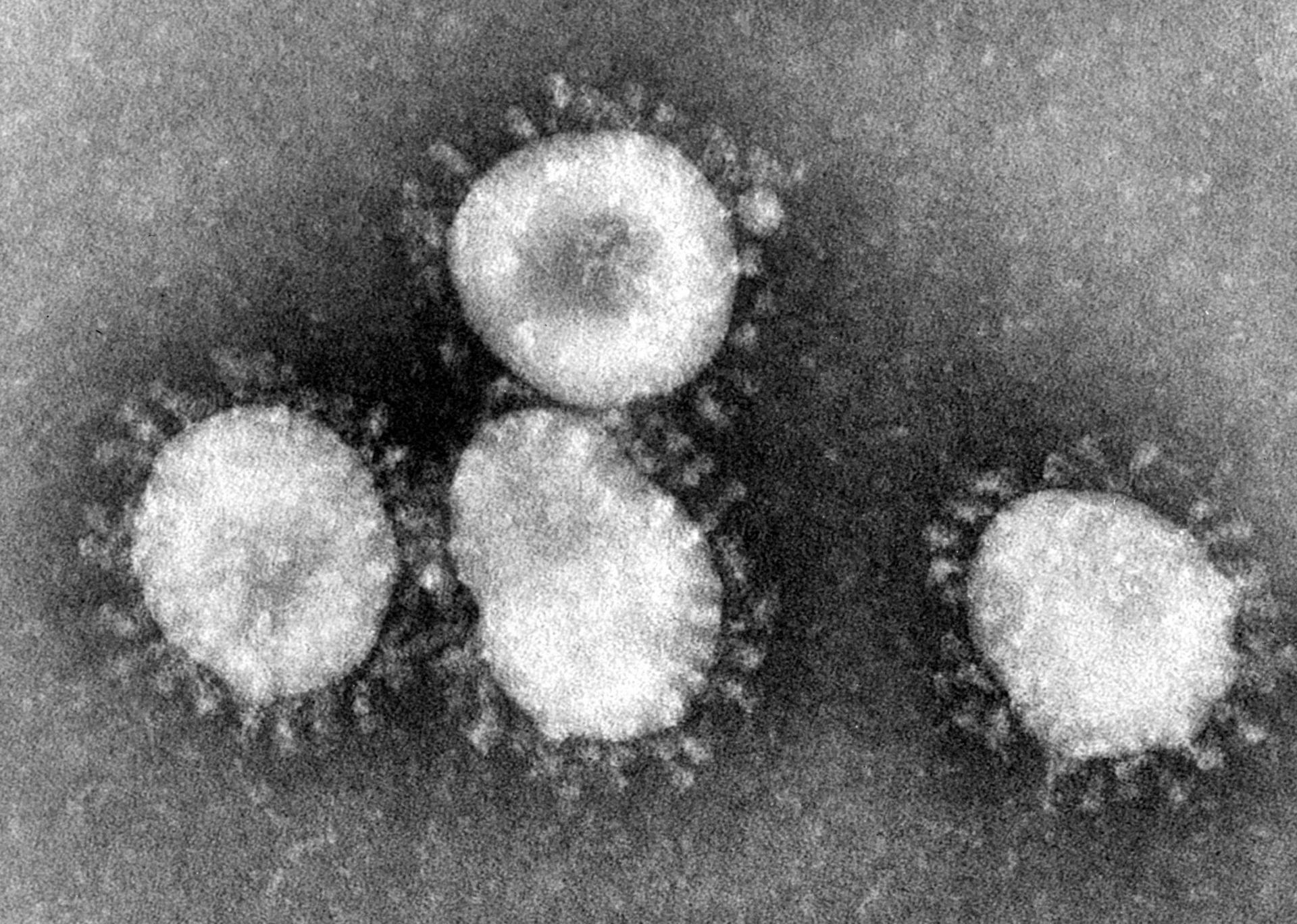 1920x1368 Coronavirus Outbreak Could Impact Production of 'iPhone 9'
