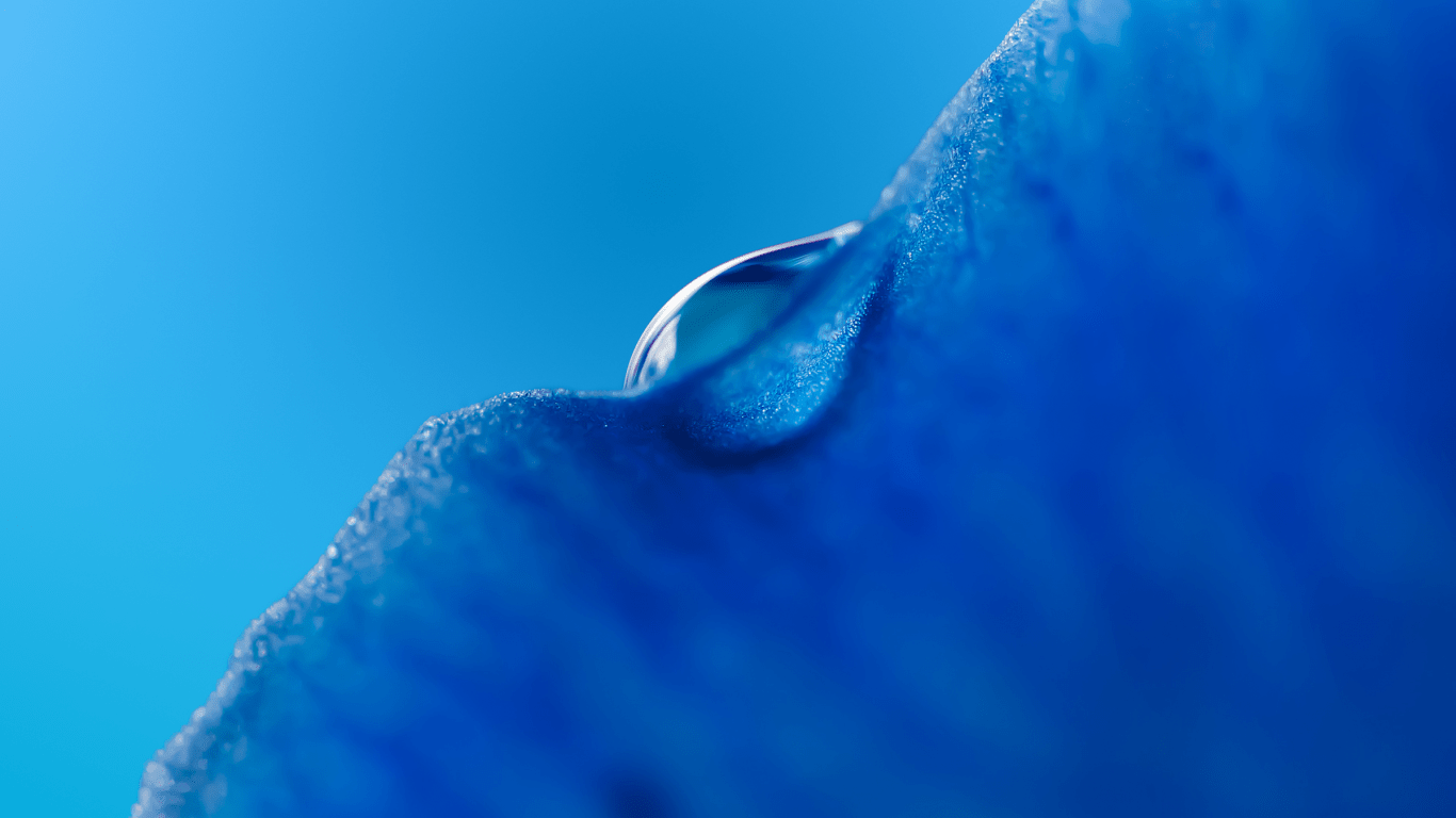 1366x768 Download 1366x768 Huawei Mediapad Stock, Water Drop, Macro