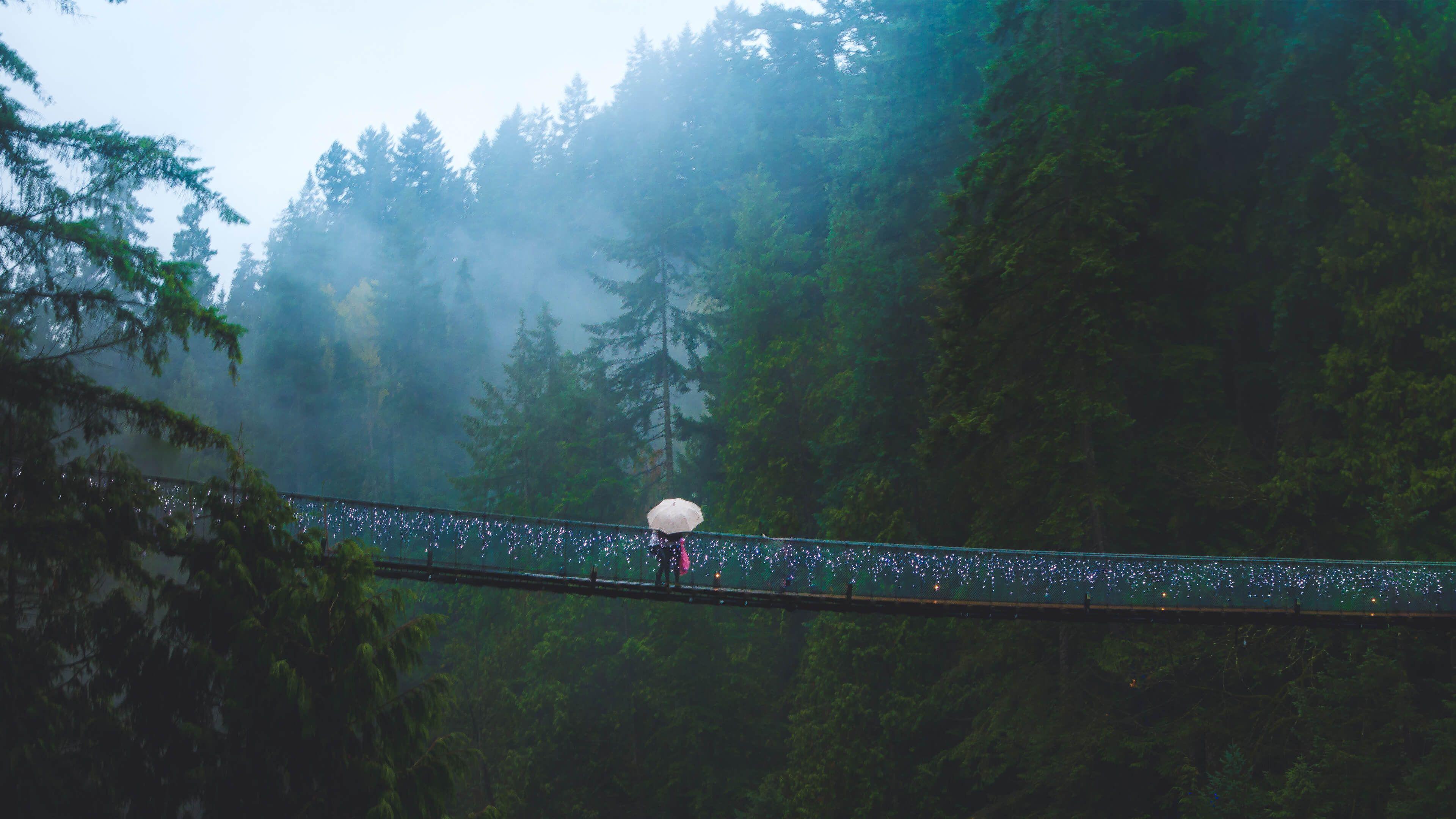 3840x2160 Capilano Suspension Bridge West Vancouver in Canada 4K wallpaper