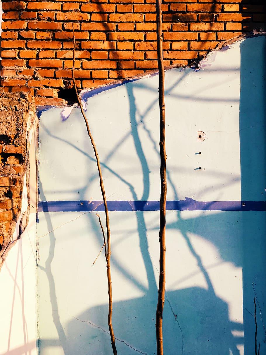 910x1213 HD wallpaper: china, wuhan, architecture, branch, no people