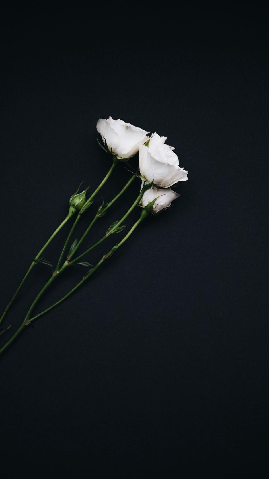 938x1668 Black Floral iPhone Background