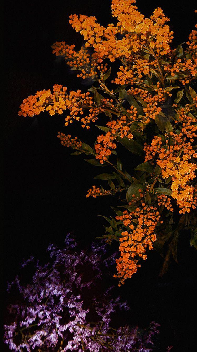 750x1334 APPLE ORANGE FLOWER DARK IOS9 IPHONE6S WALLPAPER HD IPHONE