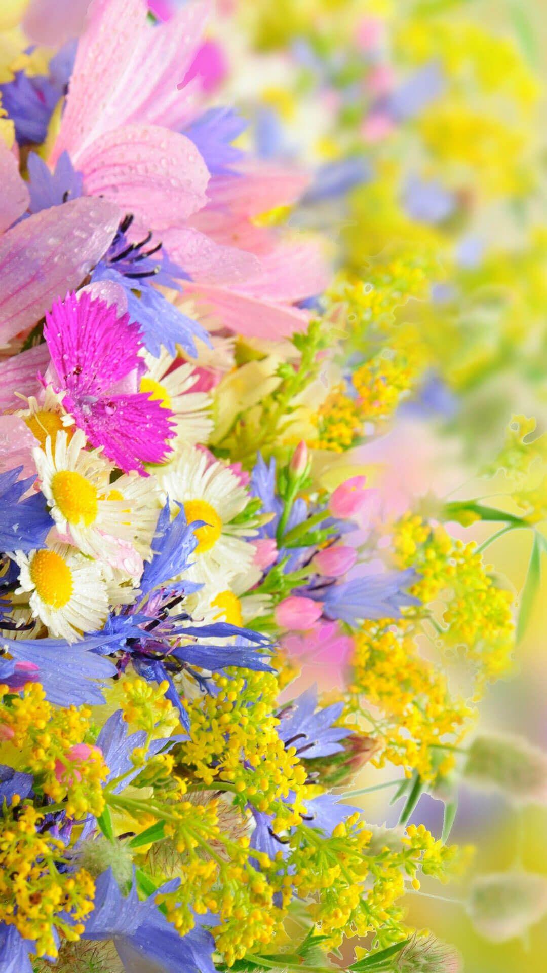 1080x1920 Spring Android Wallpaper Wallpaper iPhone 7