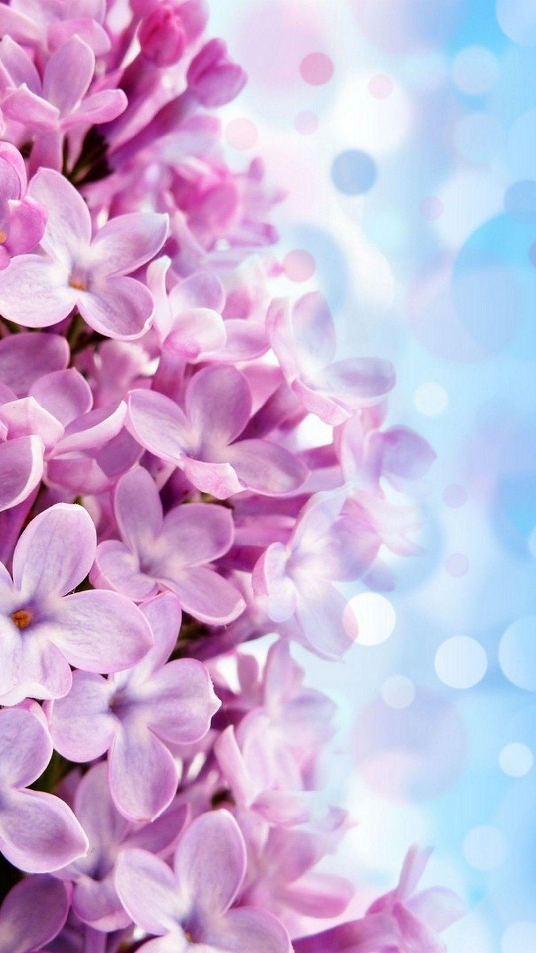 1080x1920 iPhone Wallpaper HD Purple Flowers. Best HD Wallpaper