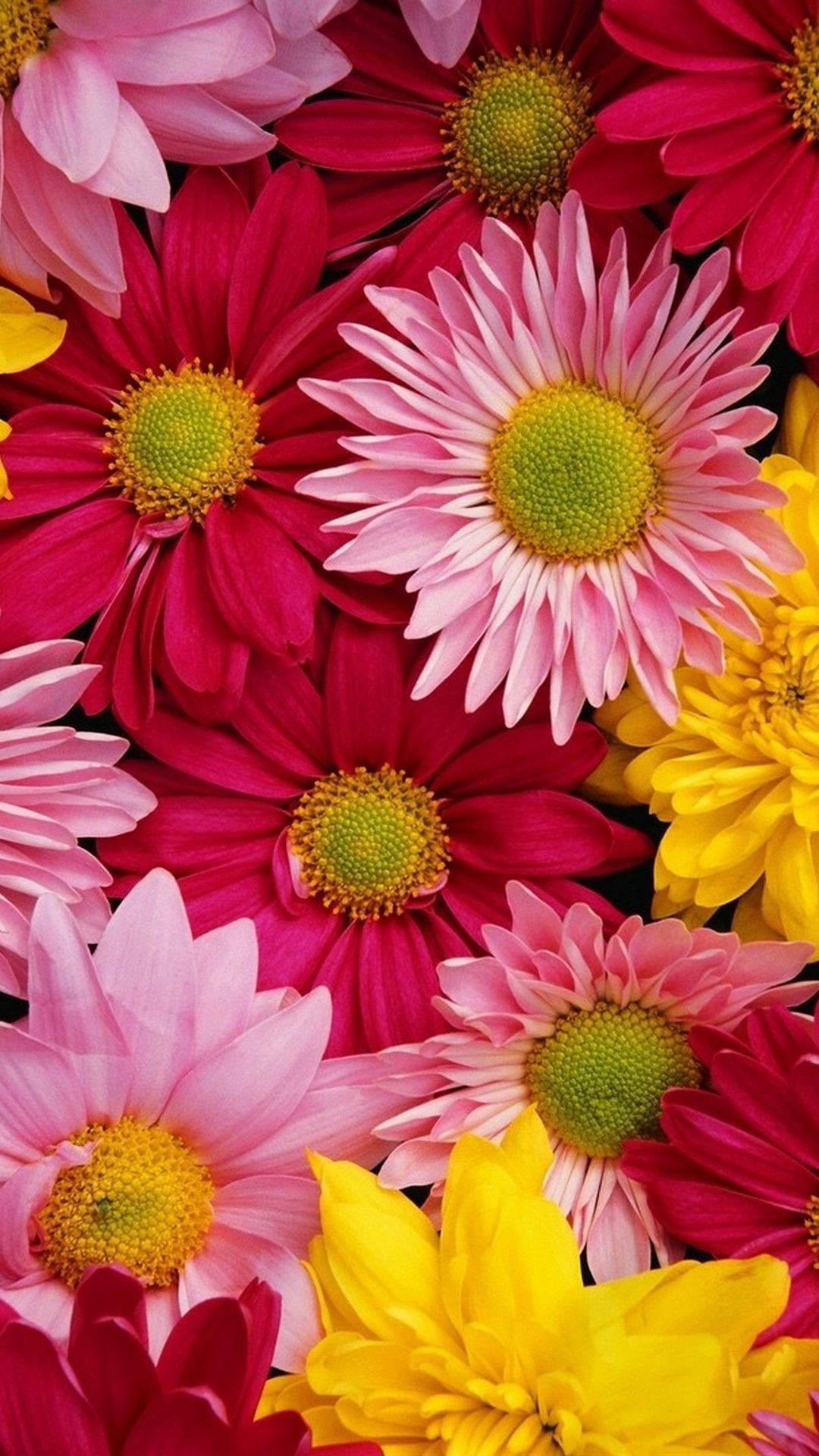 1080x1920 Flower Hand Spring Art iPhone Wallpaper HD
