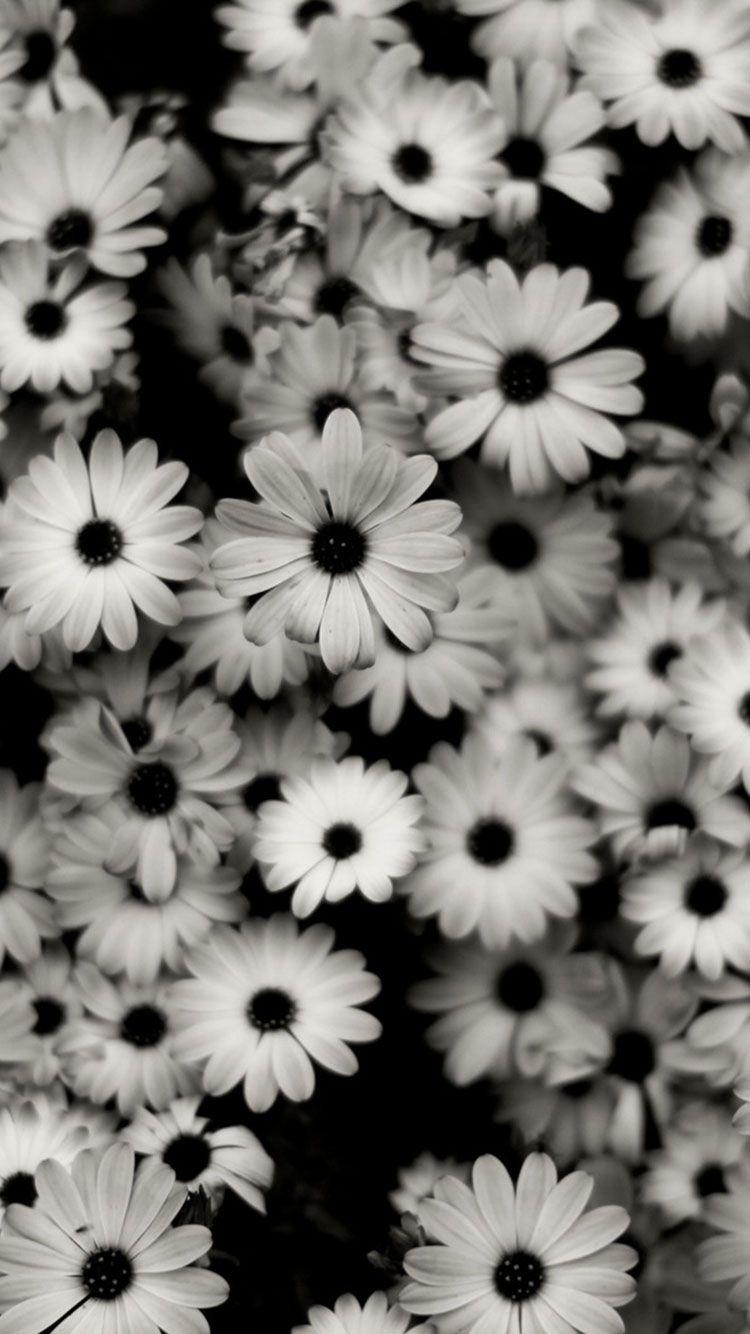 750x1334 Black Floral iPhone Background