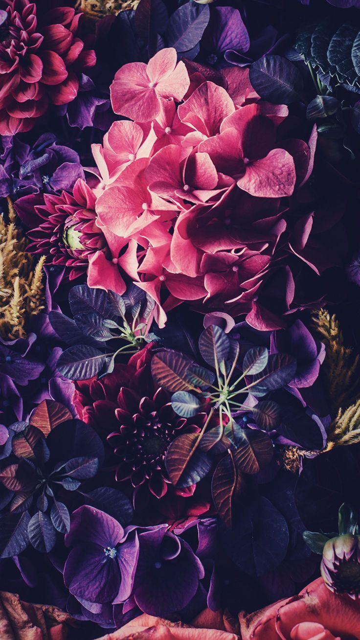 736x1308 Floral iPhone Wallpaper To Celebrate 65k Pinterest