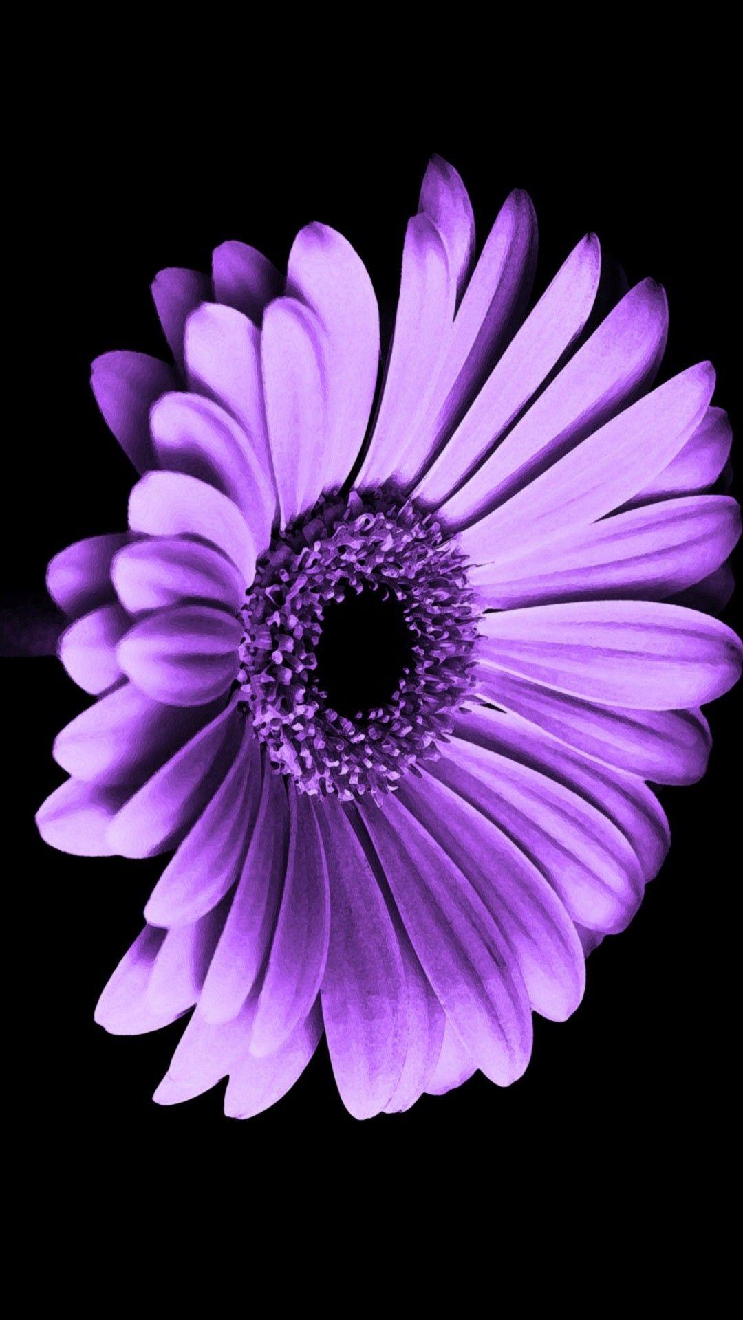 Download wallpaper 1350x2400 daisy flowers purple plant macro iphone  876s6 for parallax hd background