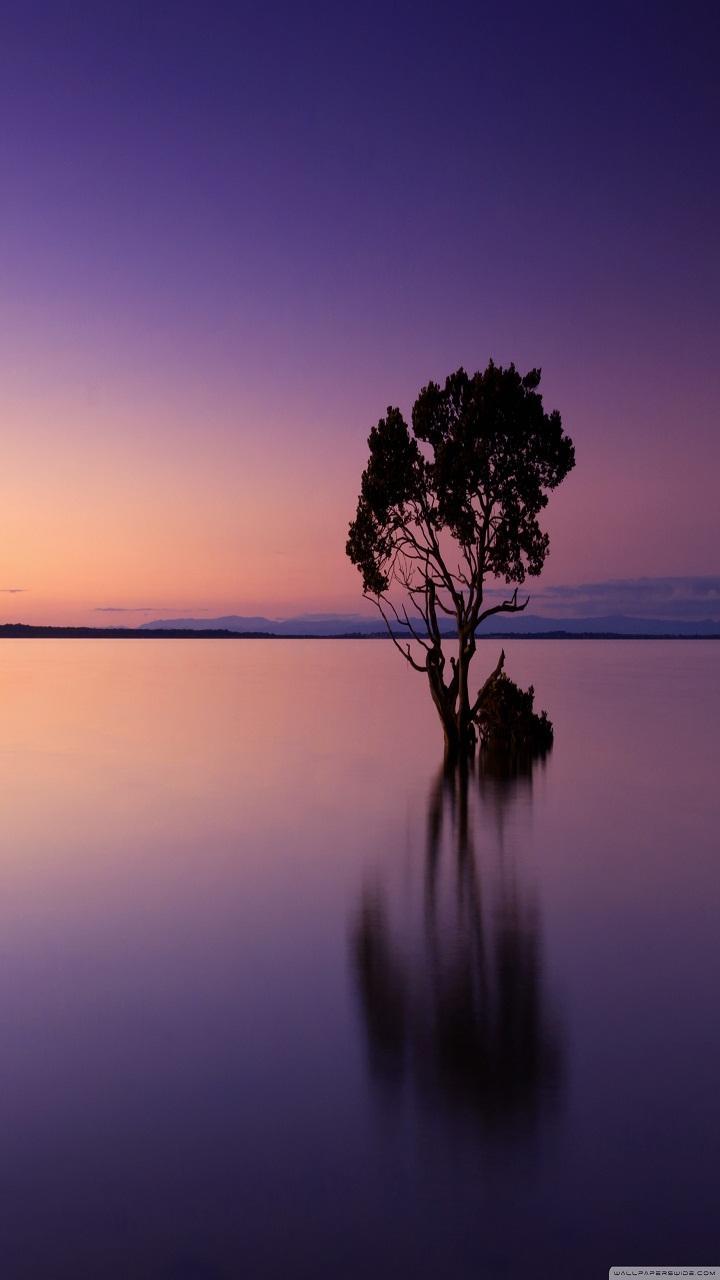 720x1280 Note 8 Wallpaper for Android