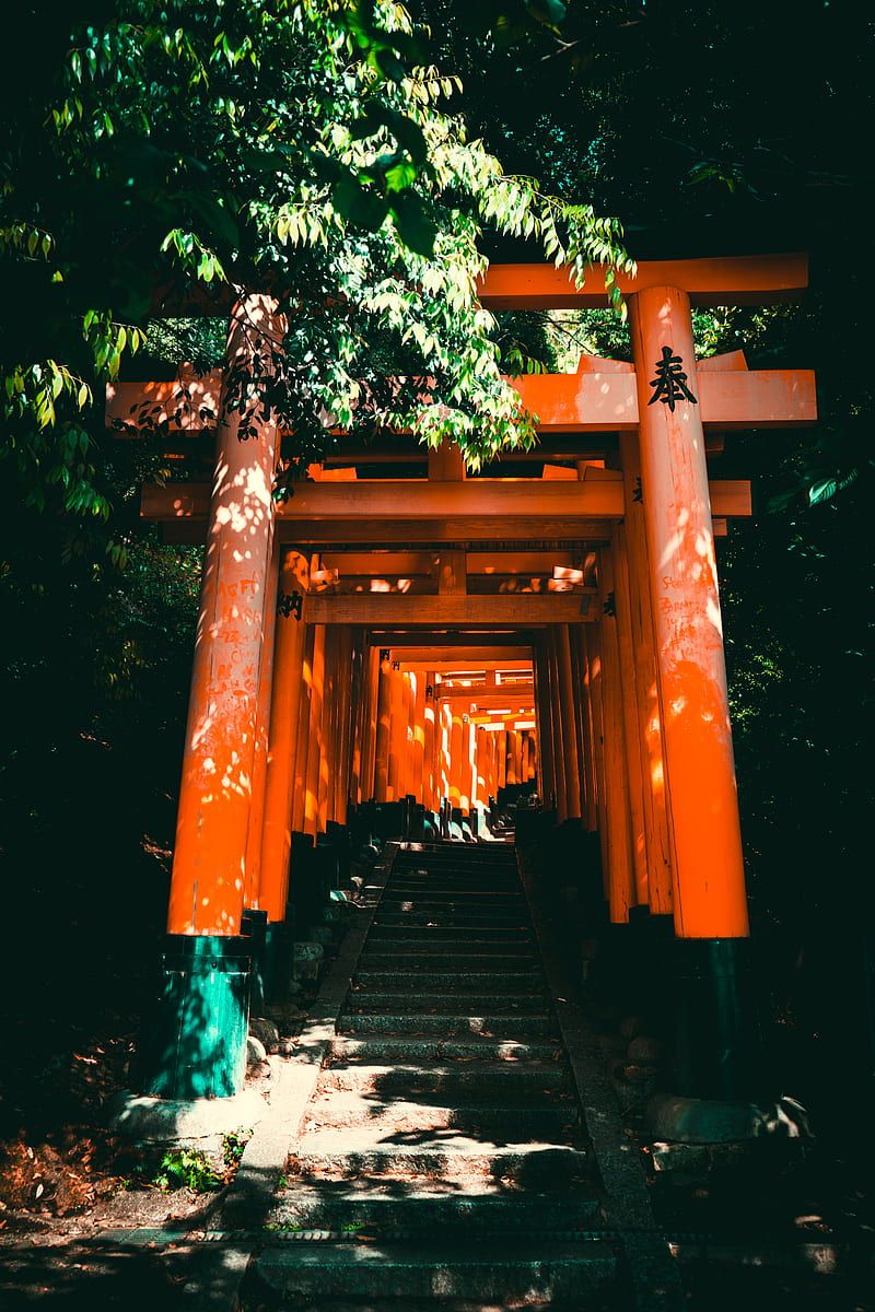 800x1200 Torii, gate, japan, stairs, HD phone wallpaper