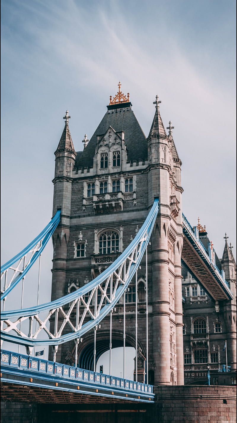 800x1423 London v city, bridge, england, uk, queen, winter, fall, summer, HD phone wallpaper