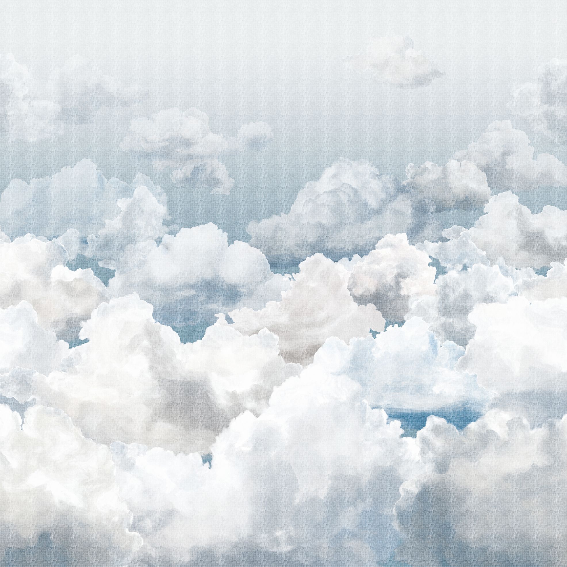 1972x1972 Mural with pleasant cloud design