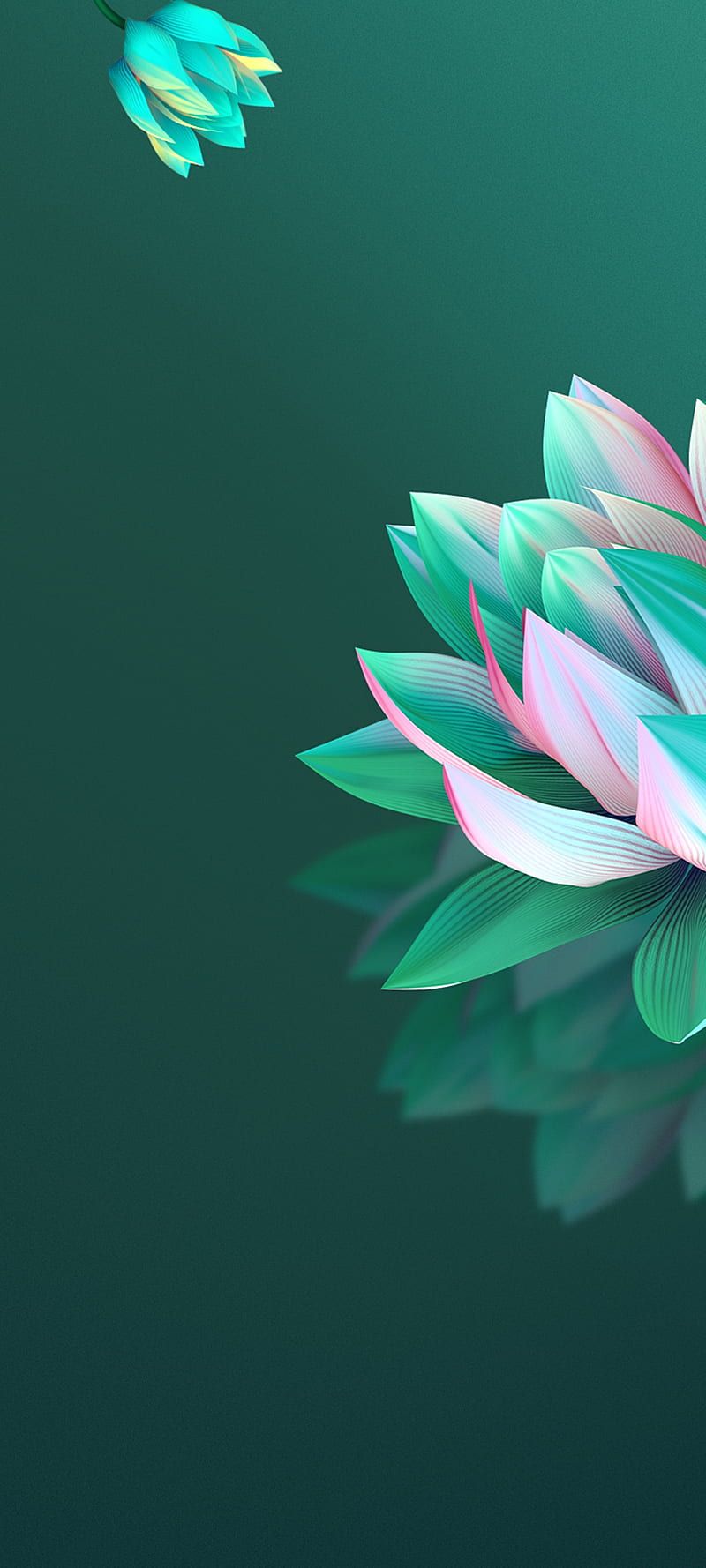 800x1778 Tecno Camon 15 Air, tecno canon, HD phone wallpaper