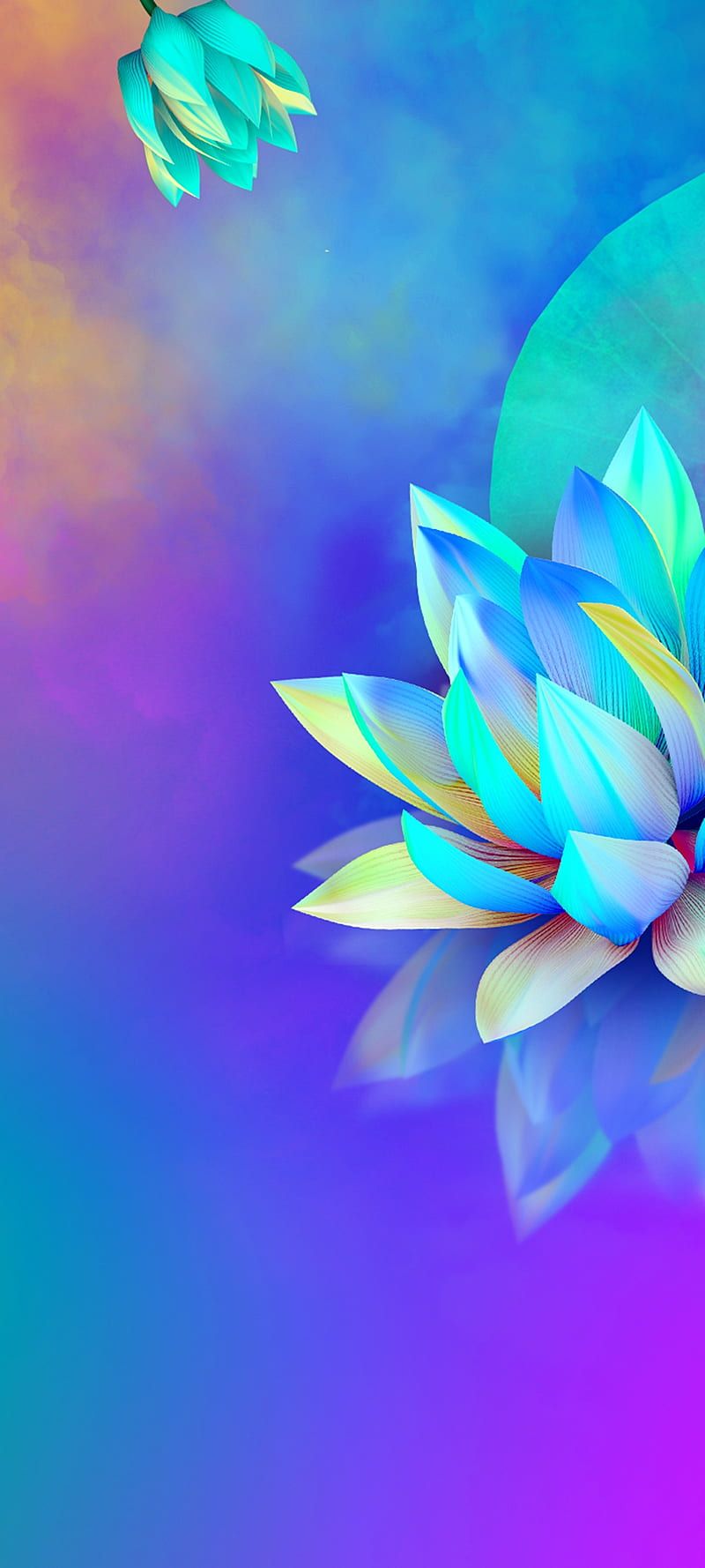 800x1778 HD tecno wallpaper