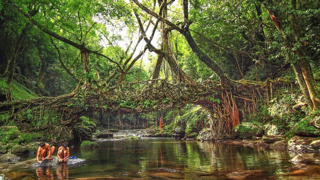 1280x720 These Photo Will Bring Monsoon in North East India Alive