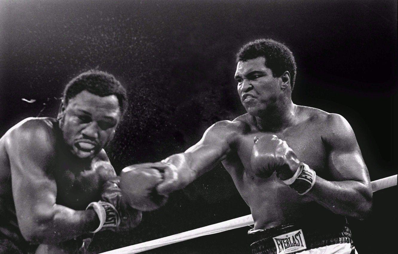 1332x850 Wallpaper blow, Trilla in Manila, Muhammad Ali, 3