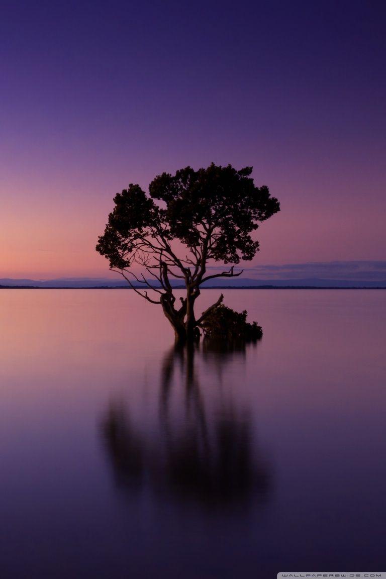 768x1152 Calm Ocean Dusk Ultra HD Desktop Background Wallpaper