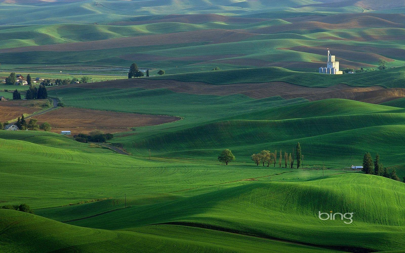 1600x1000 Bing Desktop Wallpaper