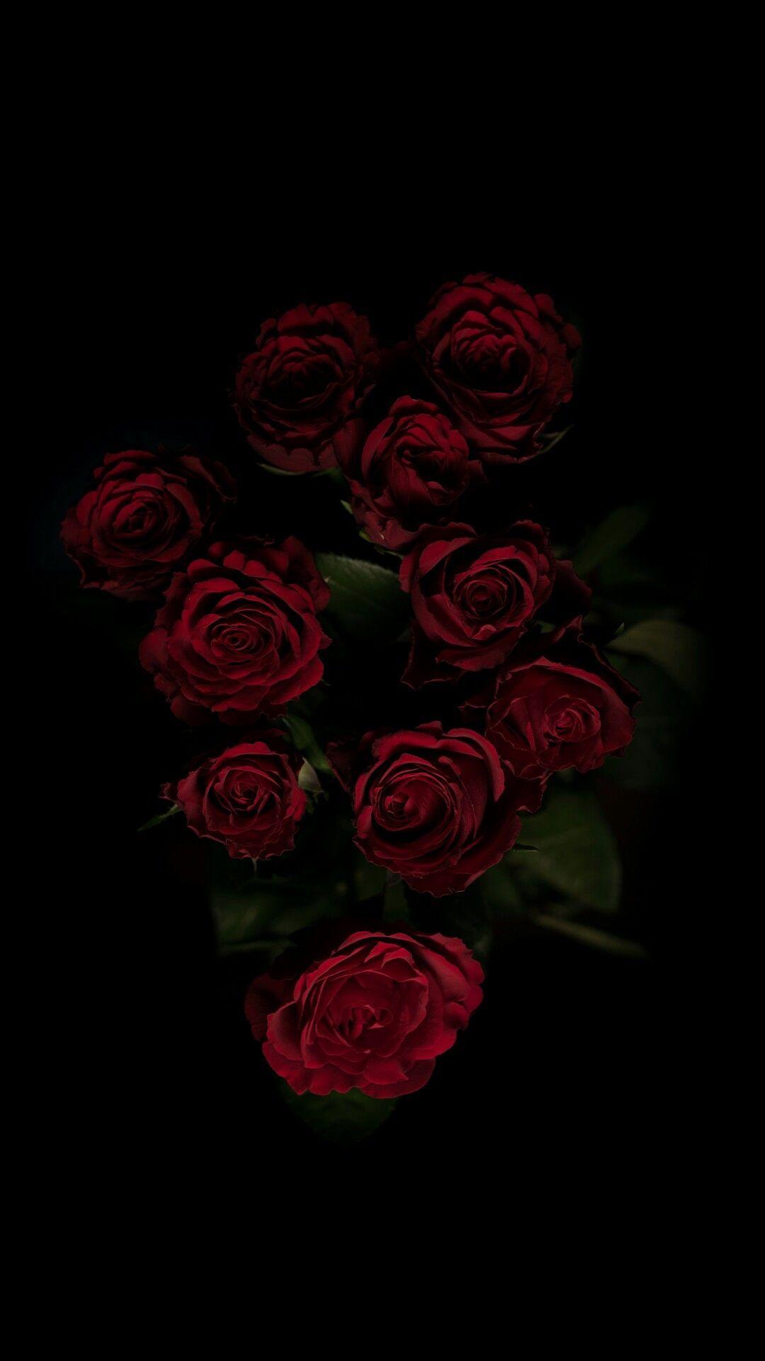 Aesthetic black roses HD phone wallpaper  Pxfuel