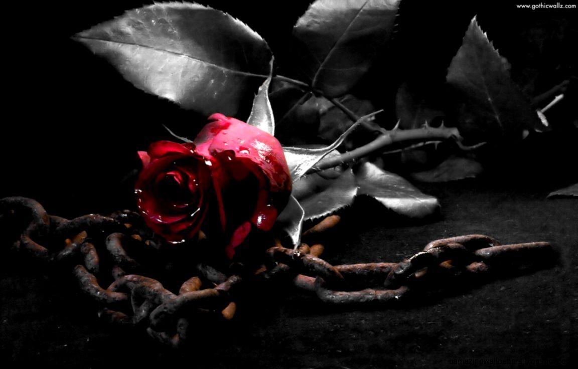 1152x736 Dark Roses And Hearts Wallpaper