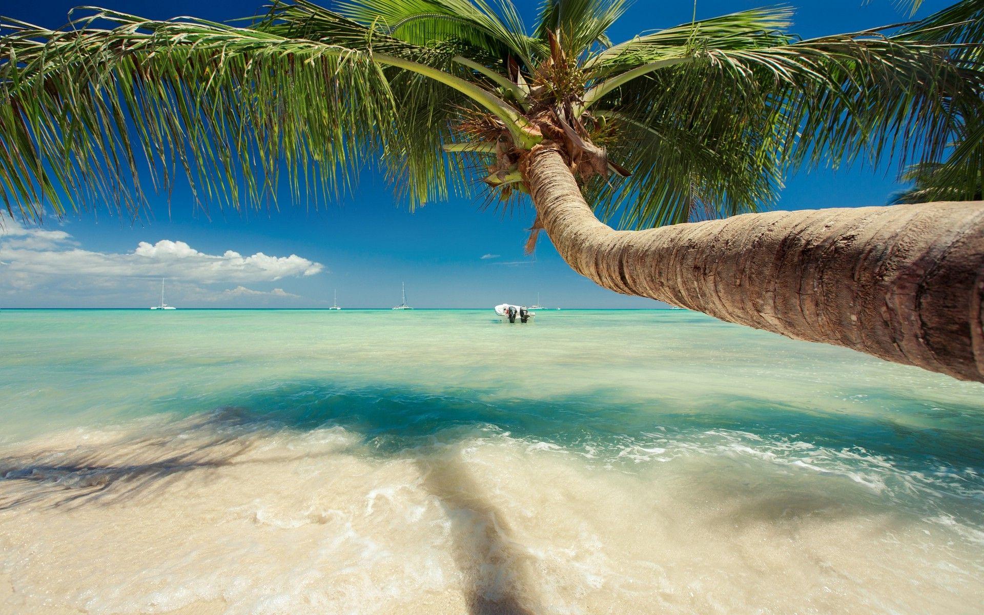 Caribbean Beach Desktop Wallpapers - Top Free Caribbean ...