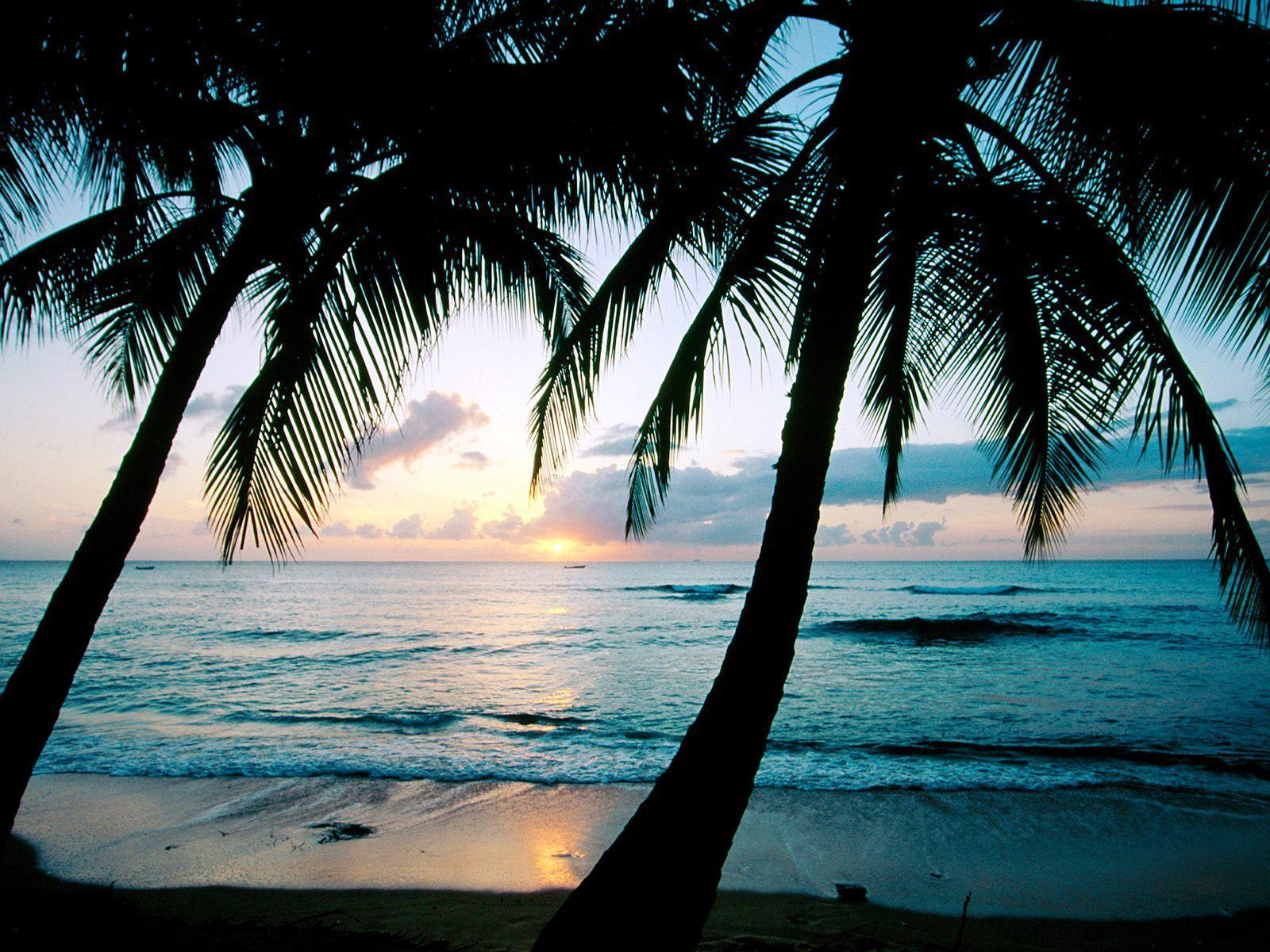 1600x1200 Barbados. Beach wallpaper, Kings beach, Cover photo