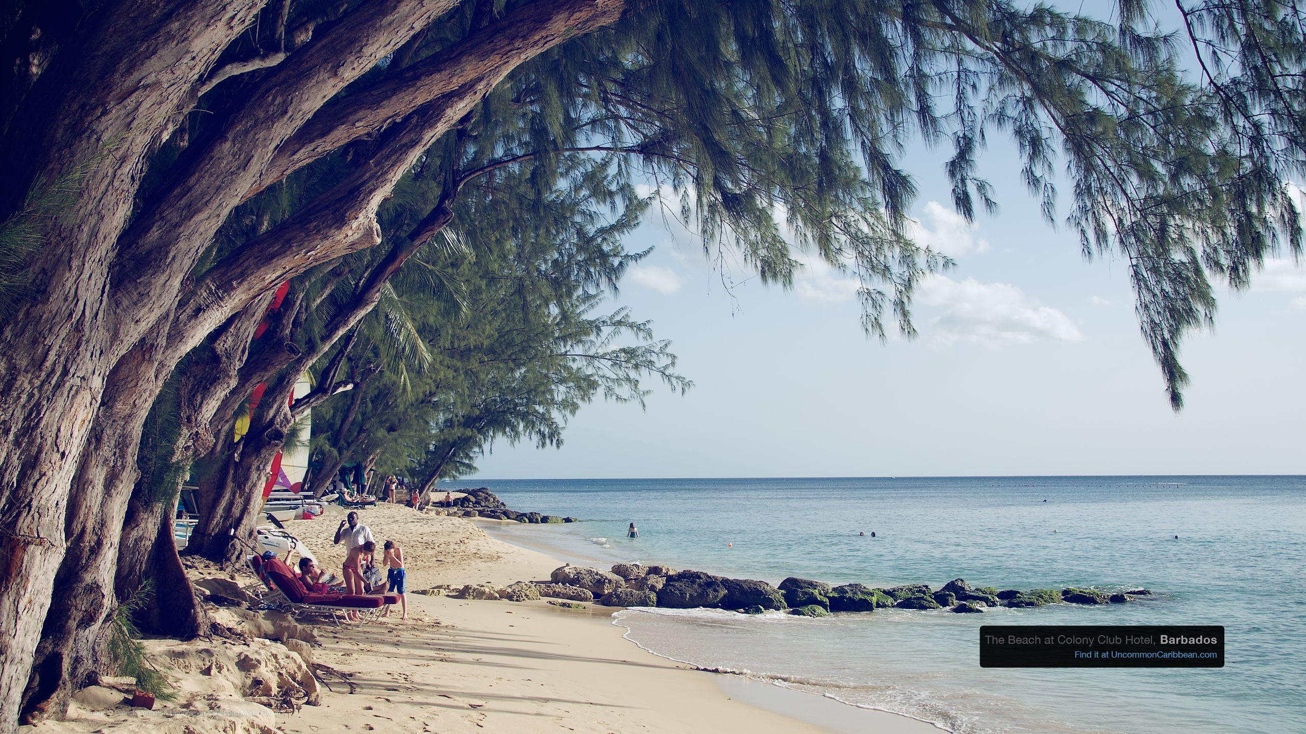 2560x1440 Download our Best Caribbean Desktop Wallpaper