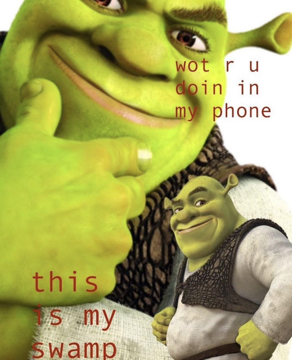 Download Shrek Meme Wallpaper