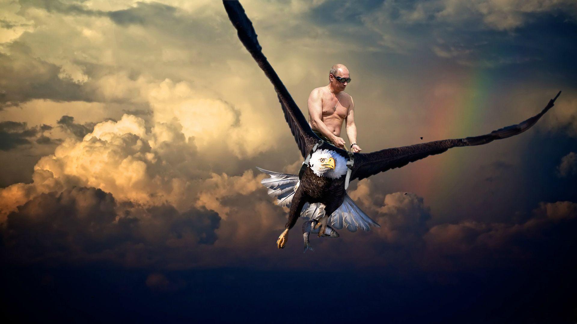 Над головой летит. Летающий человек. Человек птица. Парящая птица. Человек в полете.