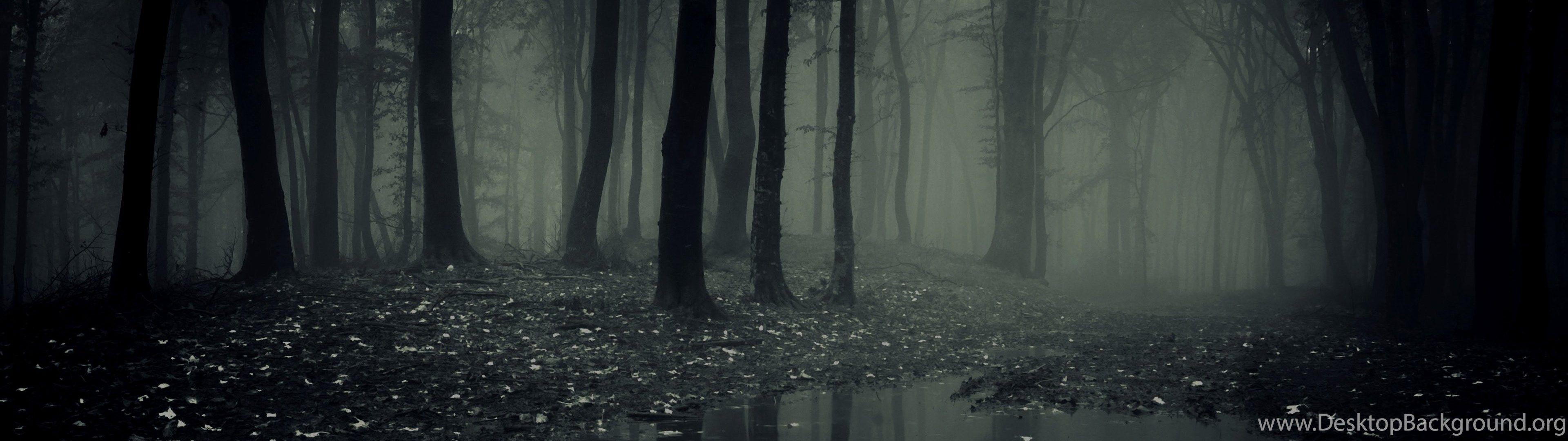 Dual Monitor Forest Wallpapers - Top Free Dual Monitor Forest