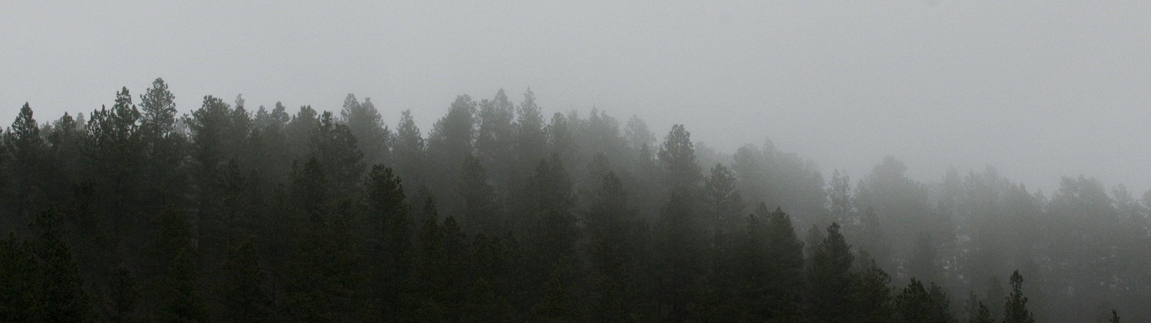 Dual Monitor Forest Wallpapers - Top Free Dual Monitor Forest
