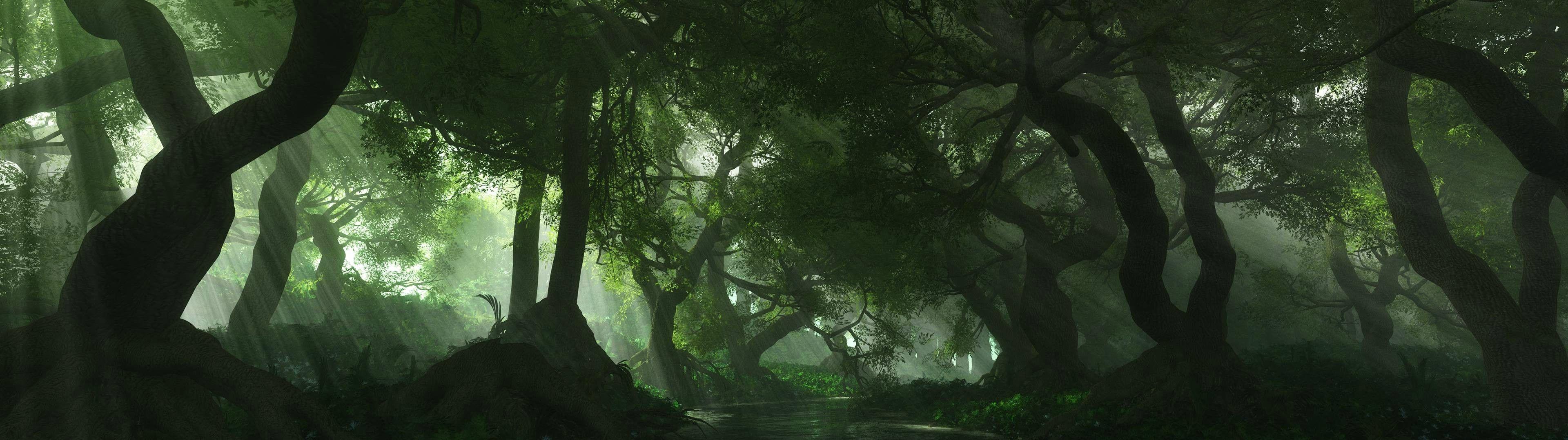 Dual Monitor Forest Wallpapers - Top Free Dual Monitor Forest