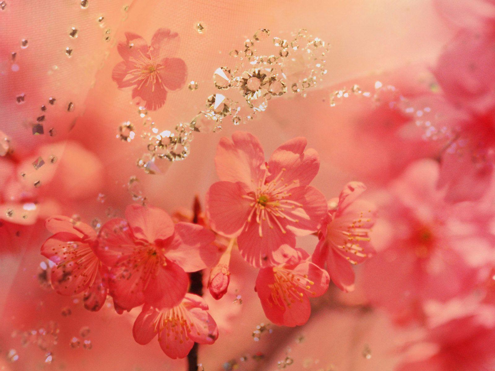 1600x1200 Desktop Wallpaper / Gallery / Windows 7 / Pink Diamonds