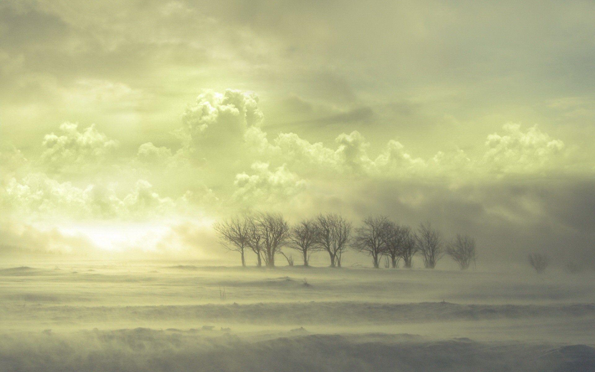 1920x1200 Wallpaper, sunny, landscape, infertile