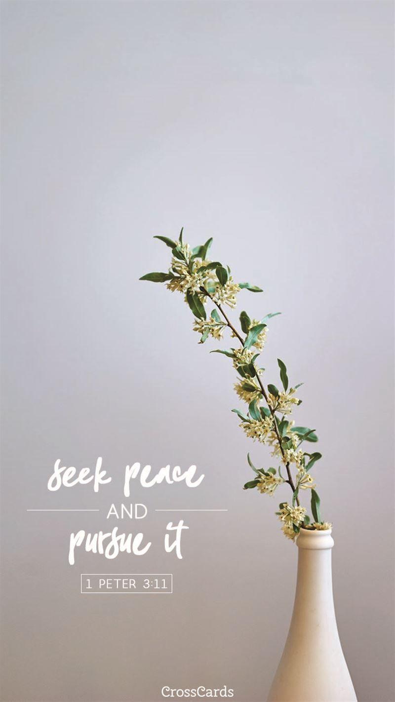 800x1422 Peter 3:11 Wallpaper and Mobile Background