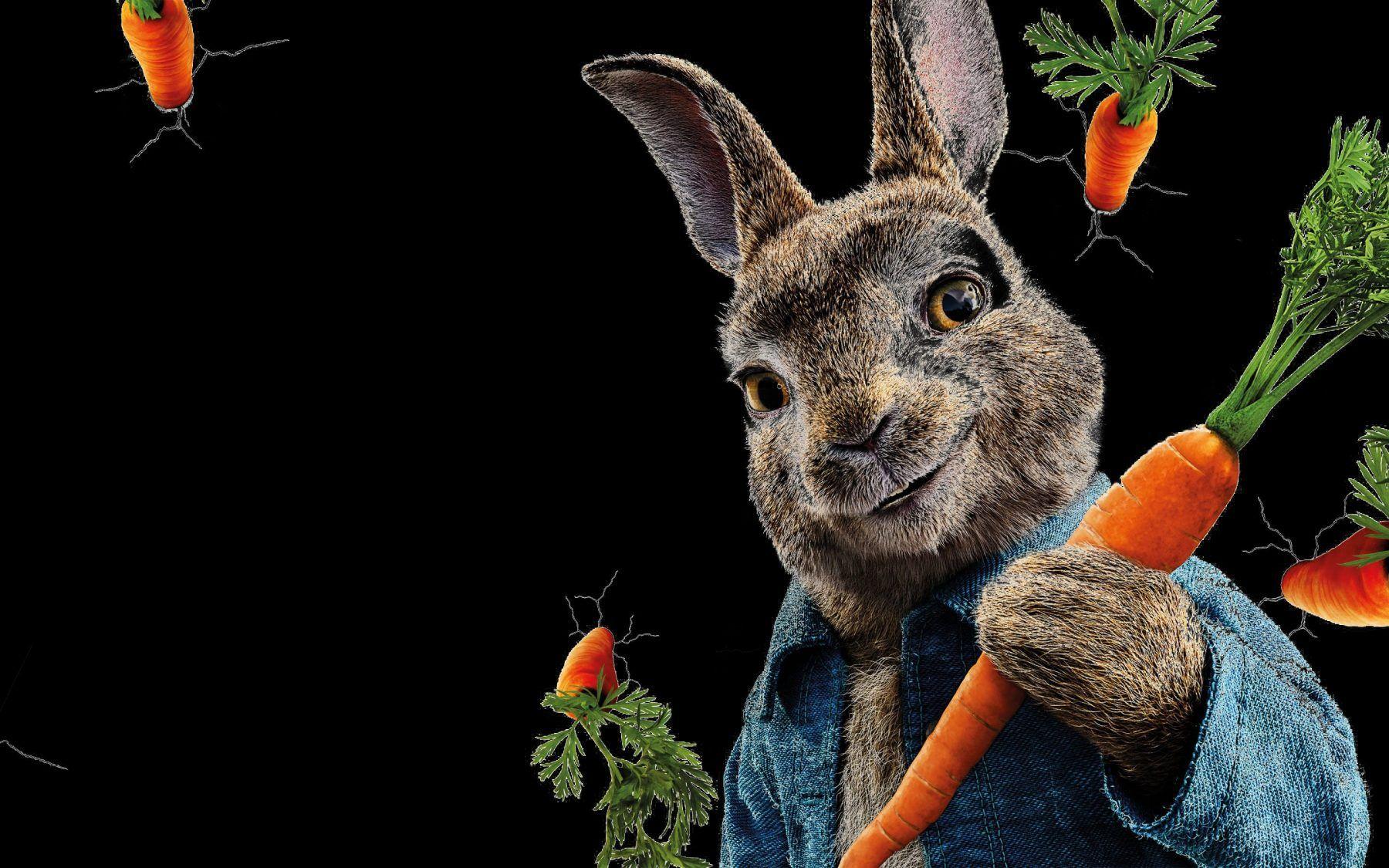 Peter Rabbit Flopsy Rabbit Mopsy Rabbit Mrs TiggyWinkle HD Peter Rabbit 2  The Runaway Wallpapers  HD Wallpapers  ID 80511
