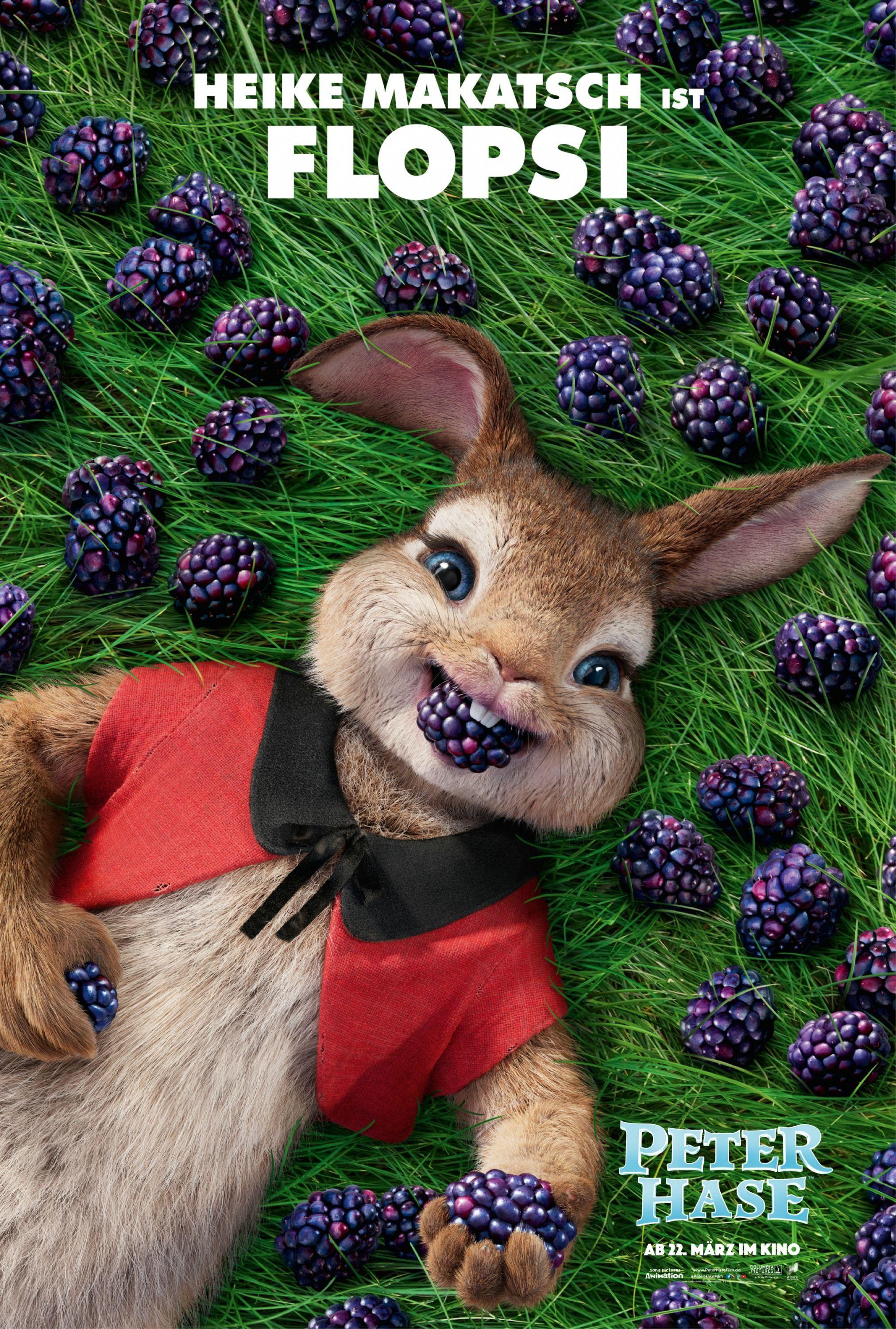2024x3000 Peter Rabbit. Peter rabbit movie, Peter rabbit, Rabbit