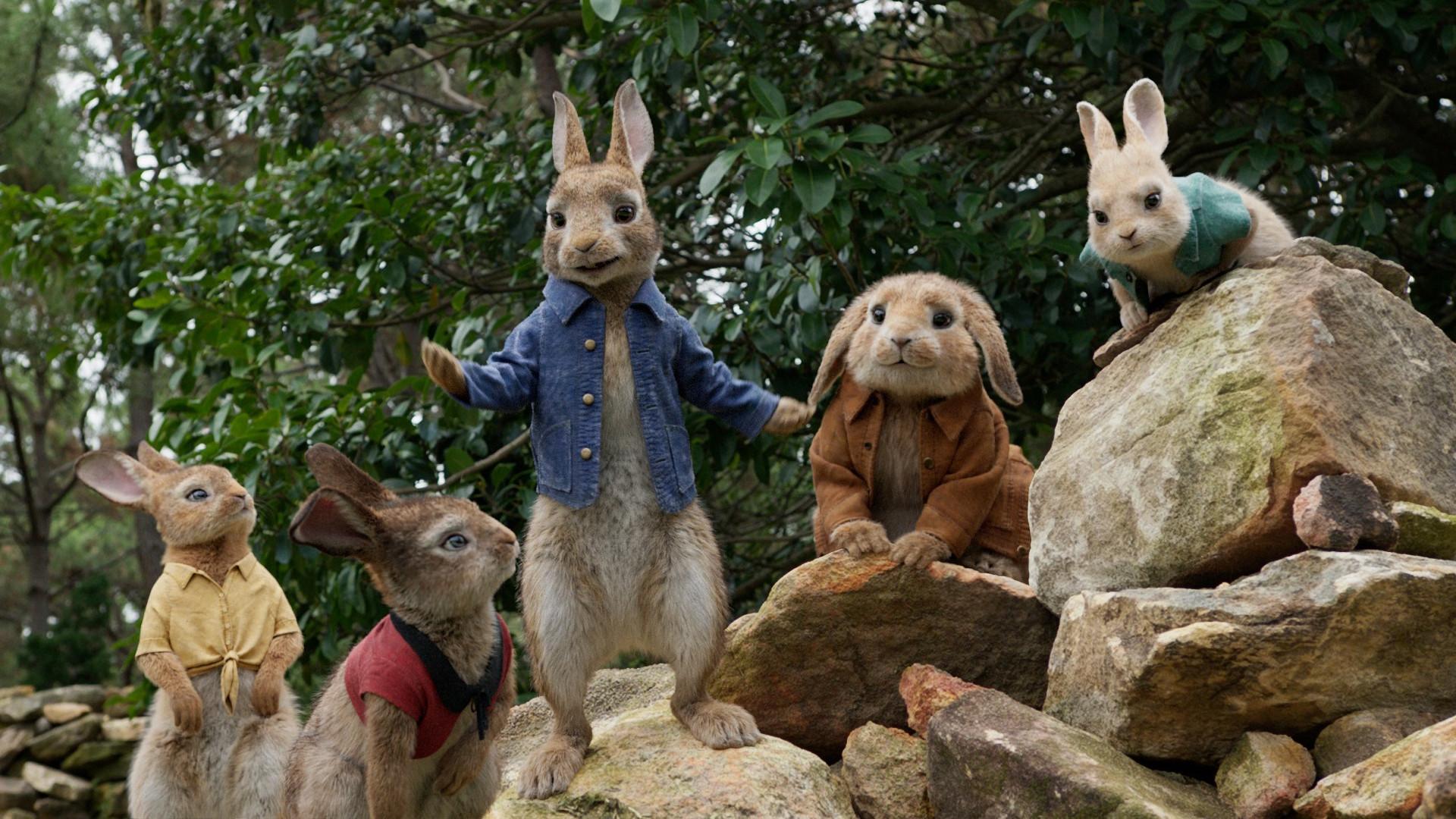 Peter Rabbit Wallpapers - Top Free Peter Rabbit Backgrounds