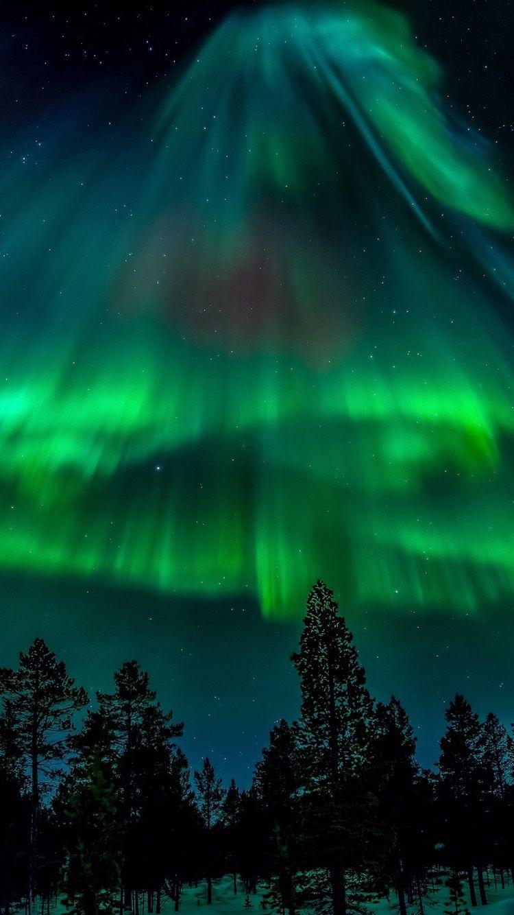 750x1334 Northern Lights, Stars, Forest, Night 750x1334 IPhone 8 7 6 6S Wallpaper, Background, Picture, Image