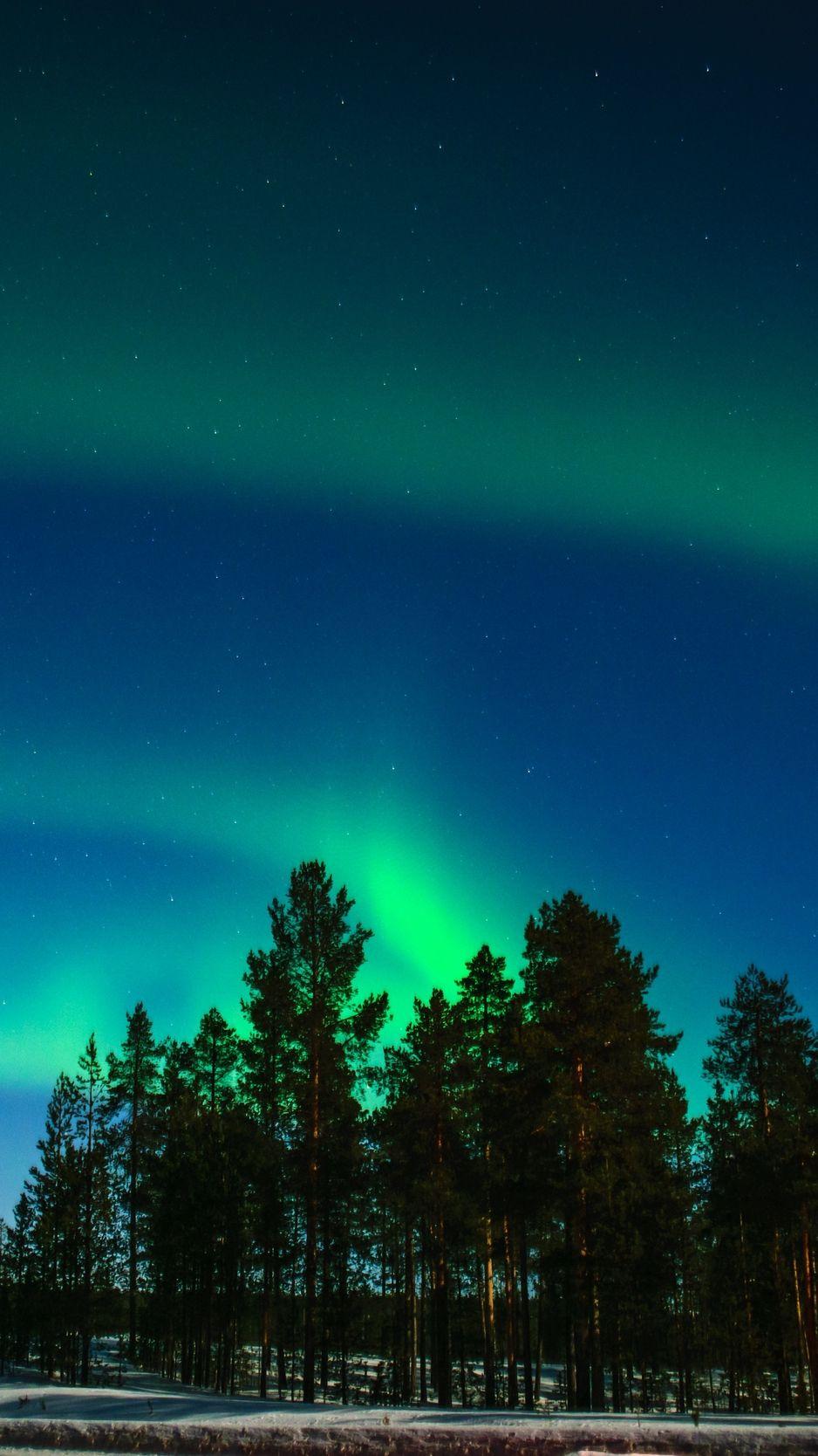 938x1668 Download wallpaper 938x1668 northern lights, aurora, trees