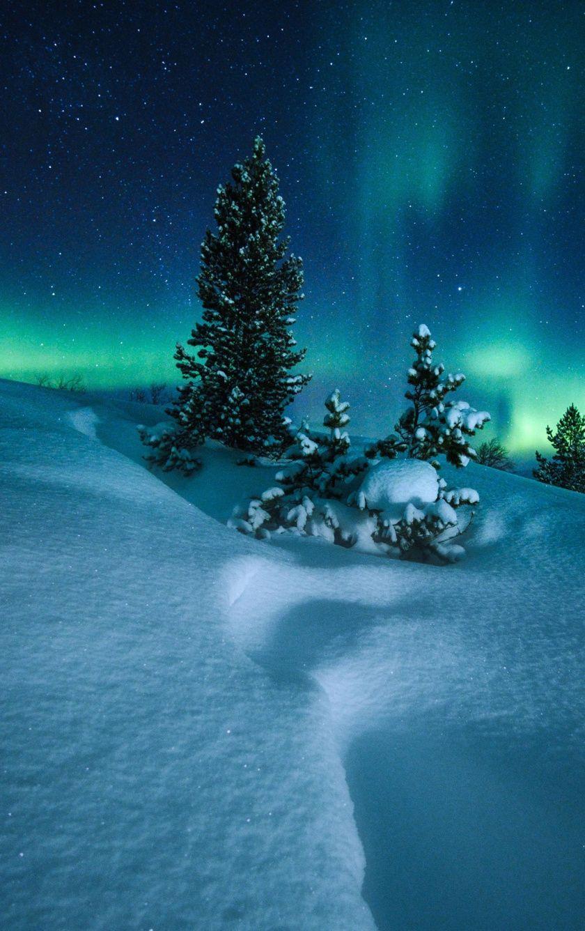840x1336 Download Winter, snowfall, Northern Lights wallpaper