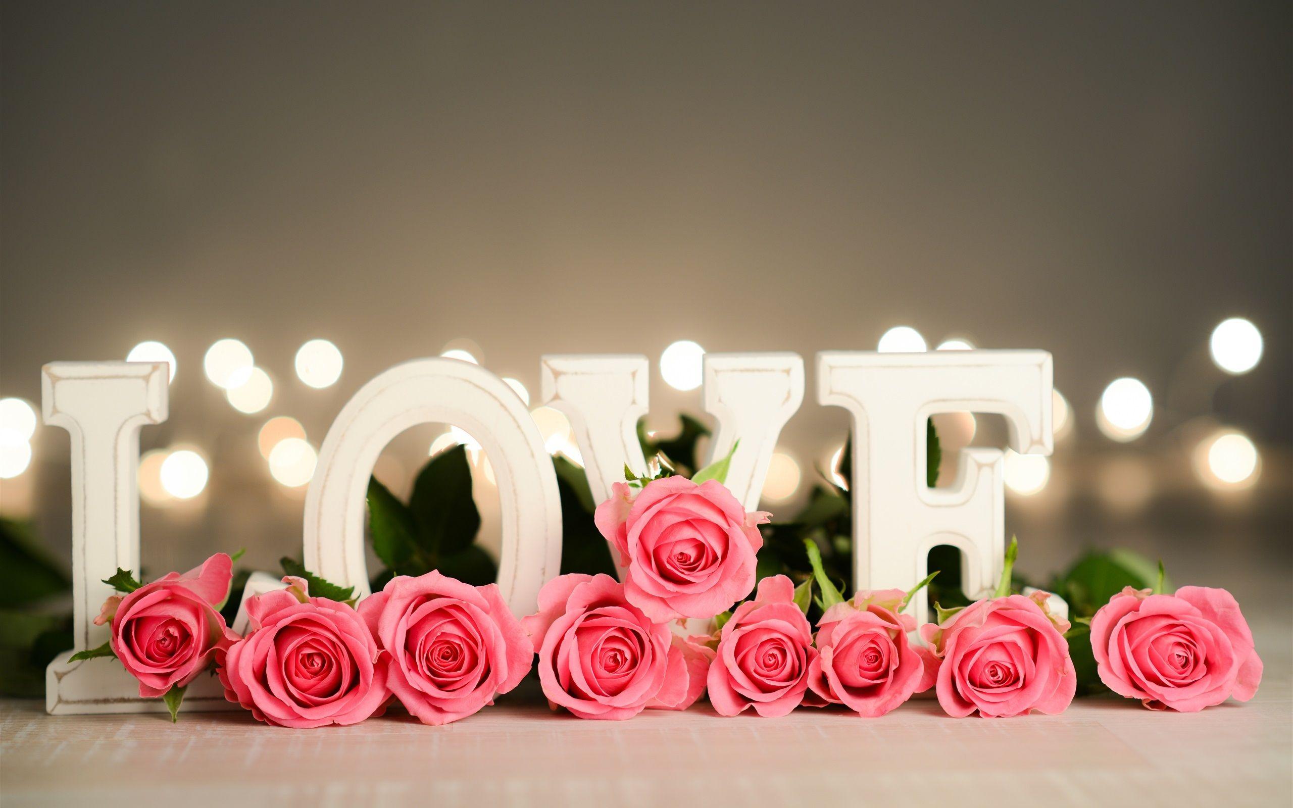 2560x1600 Wallpaper Red flowers, roses, white love, Valentine's day