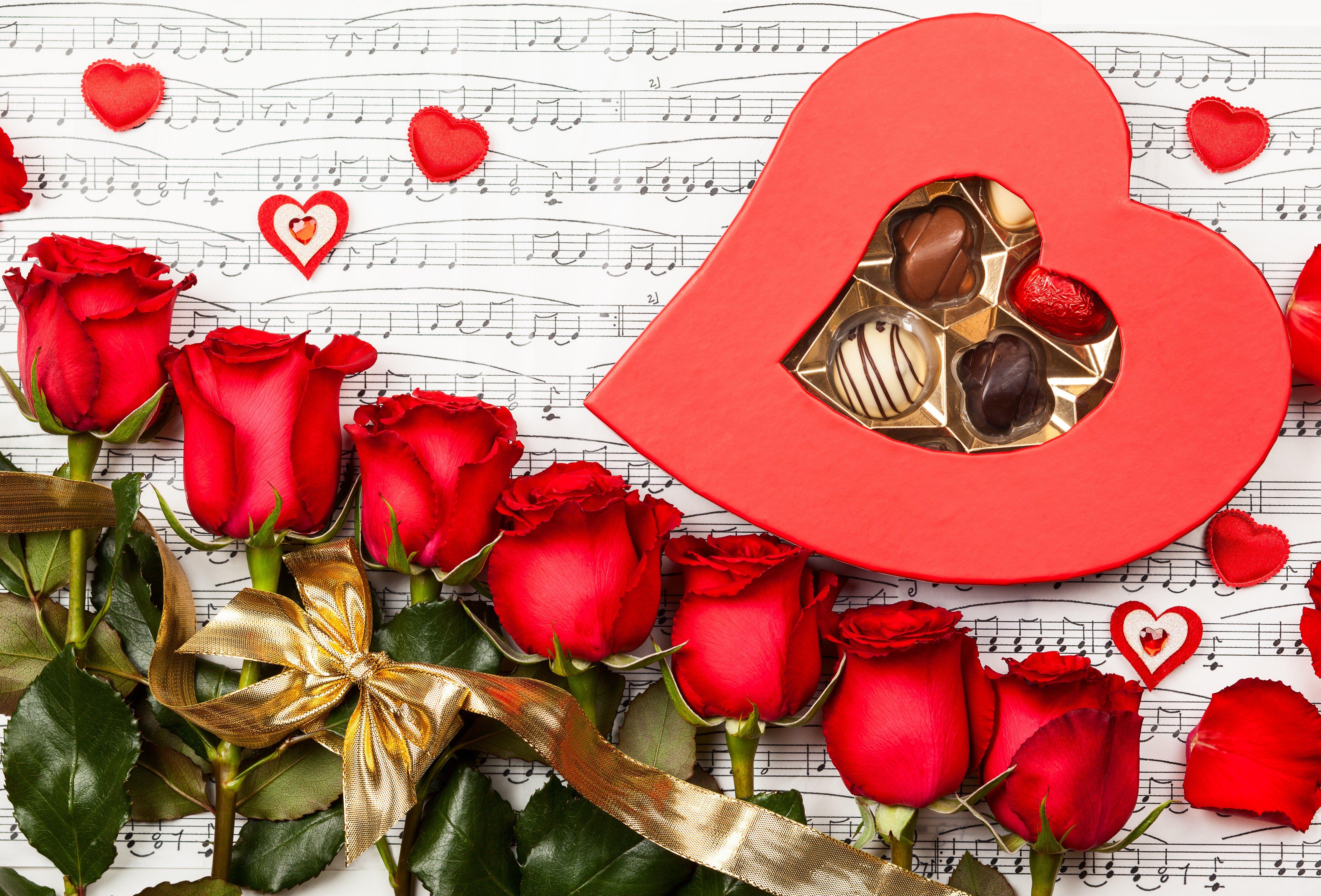 5448x3696 for, You, Roses, Heart, Nature, Red, Roses, Rose, Chocolate
