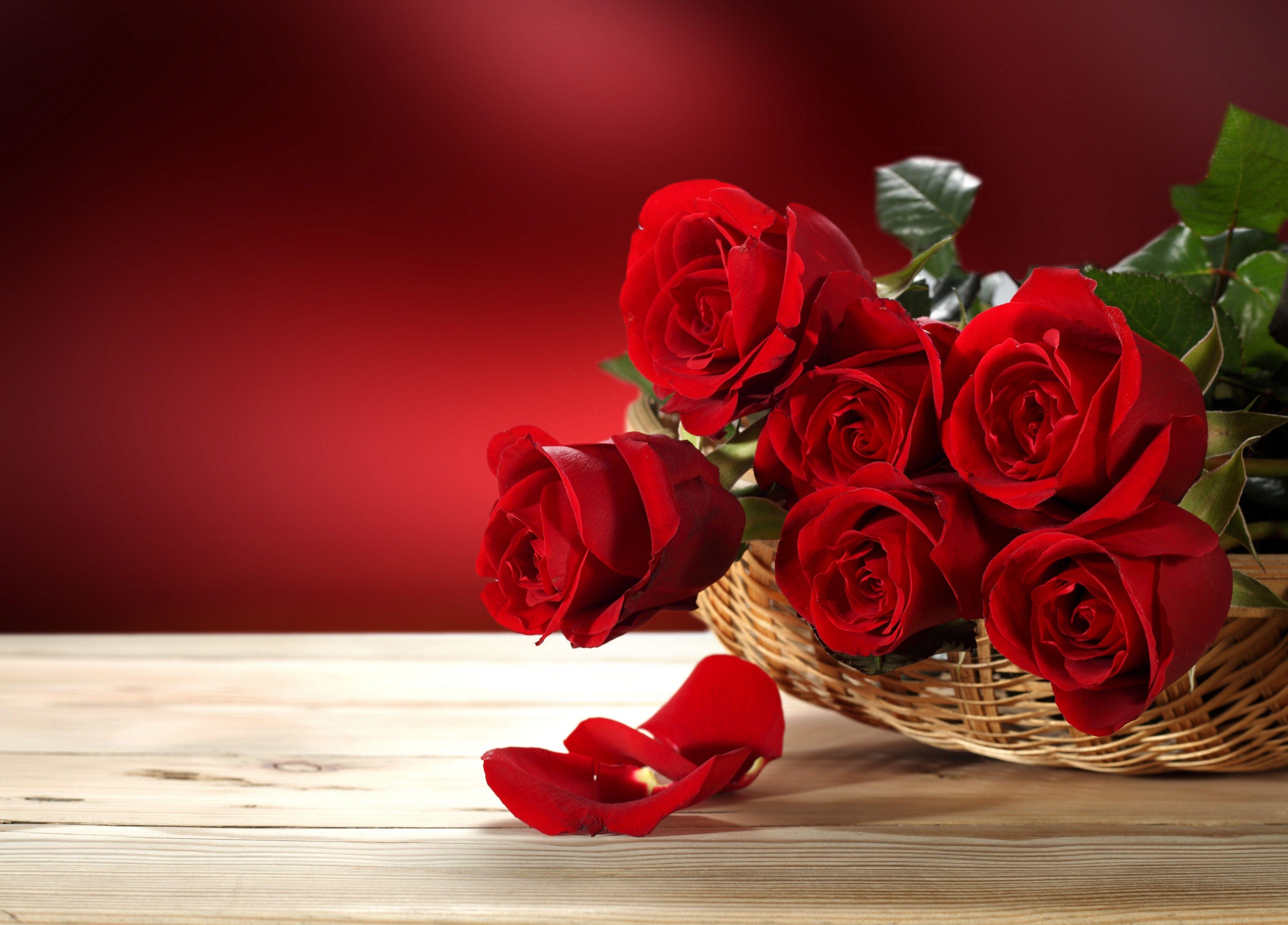 4350x3124 How to Choose Flowers to Delight your Valentine's Day