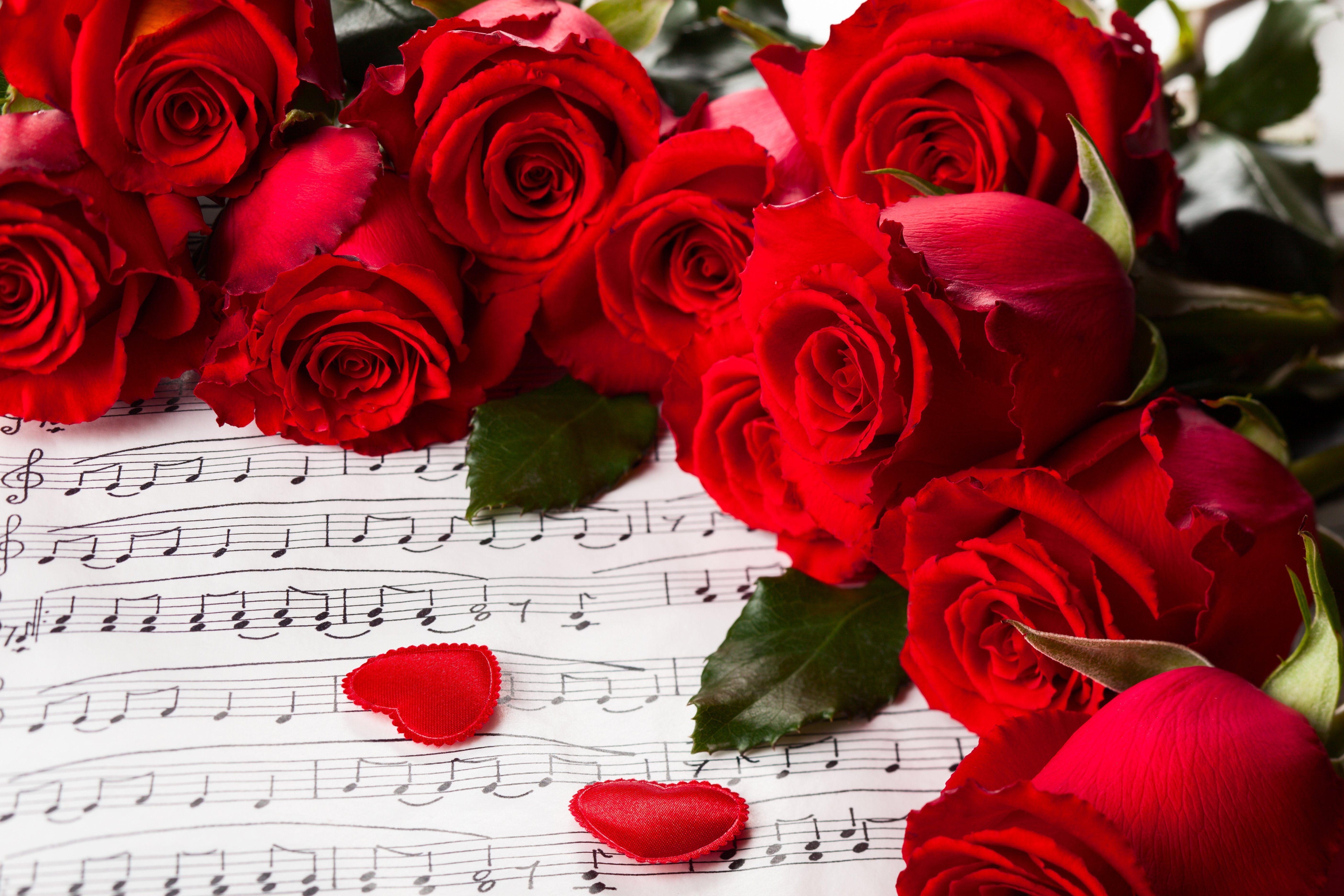 5616x3744 day, flowers, hearts, love, music, nature, red