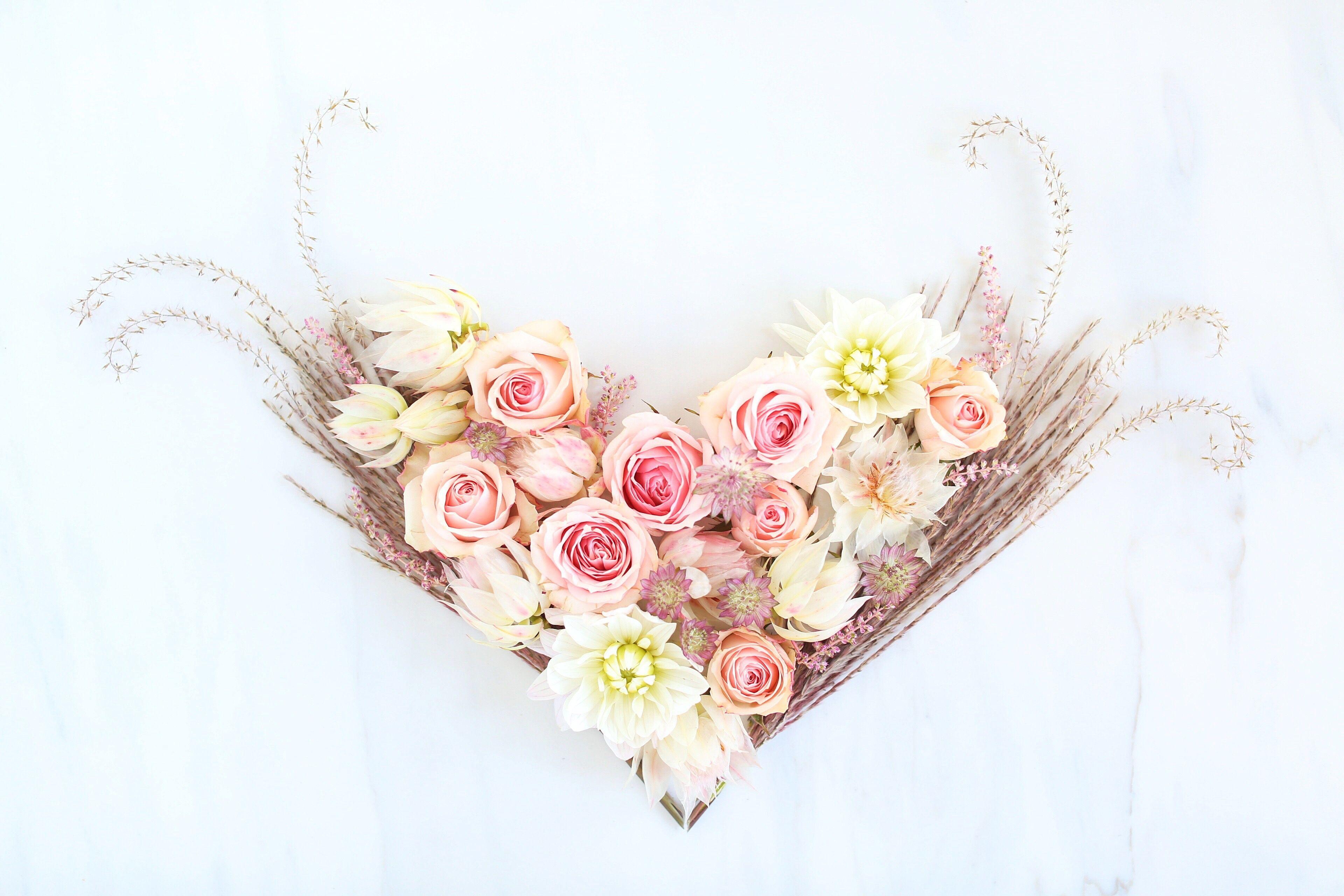 3840x2560 DIGITAL BLOOMS FEBRUARY 2018. FREE DESKTOP WALLPAPERS
