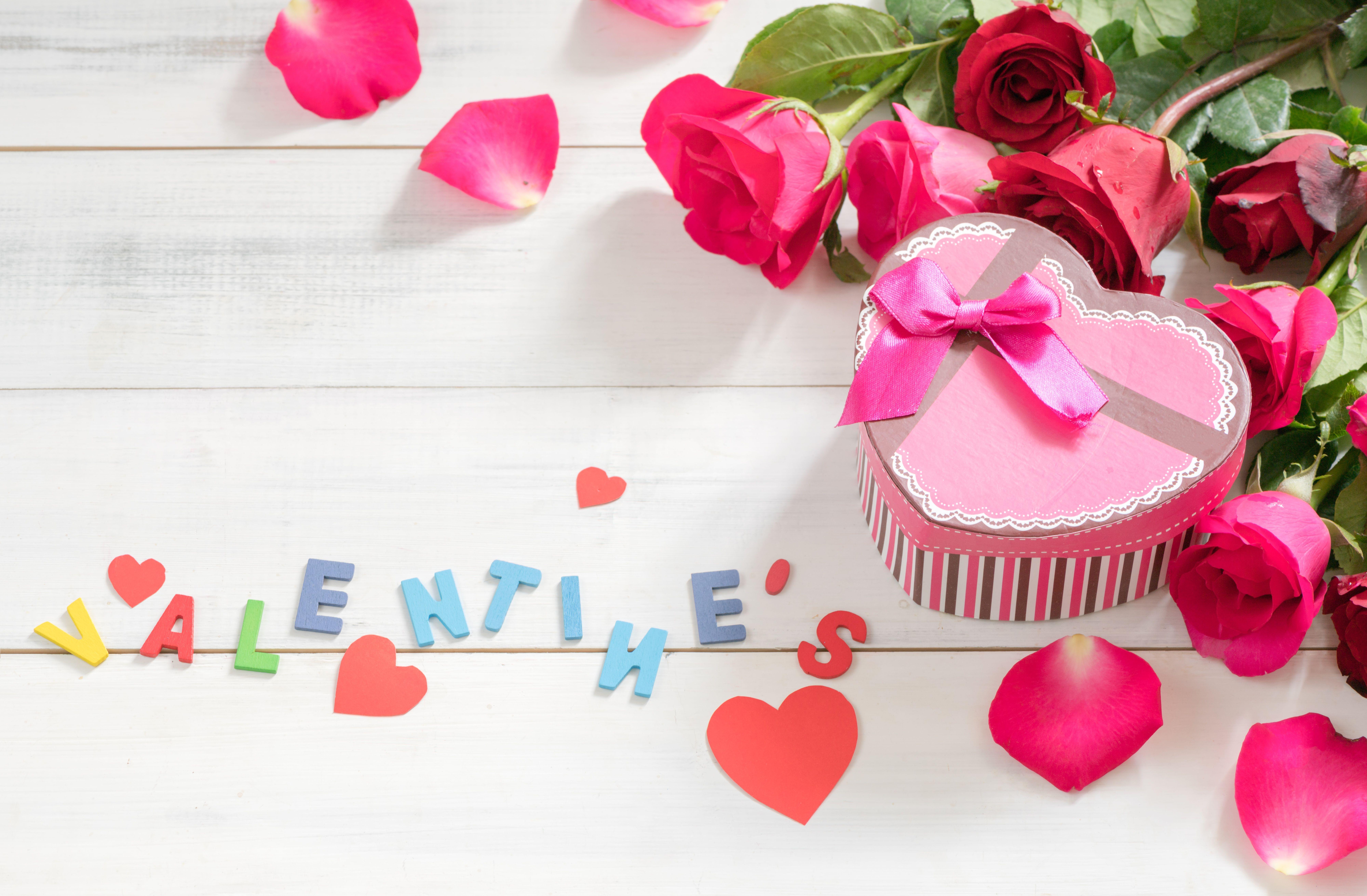 8000x5244 Pink Flower, Valentines Day, Rose, Petal, Gift, Romantic