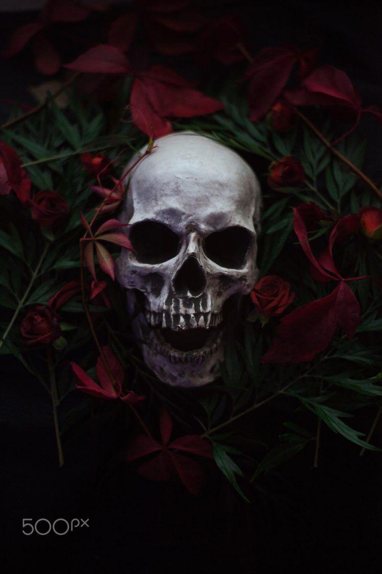 748x1122 Artem Phoenix, Skull, Flowers, Plants, 500px Wallpaper HD